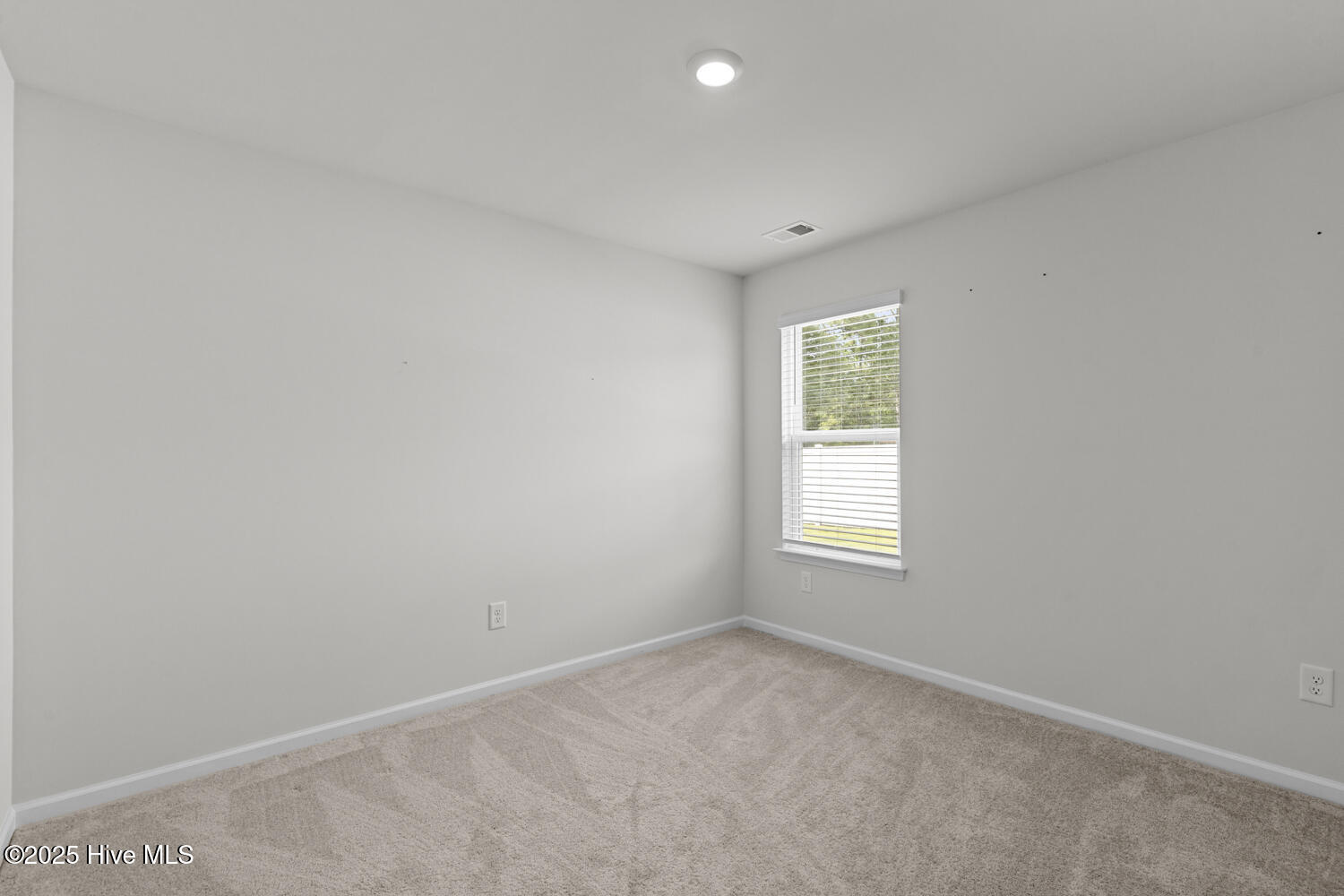 100527652 | Photo 21