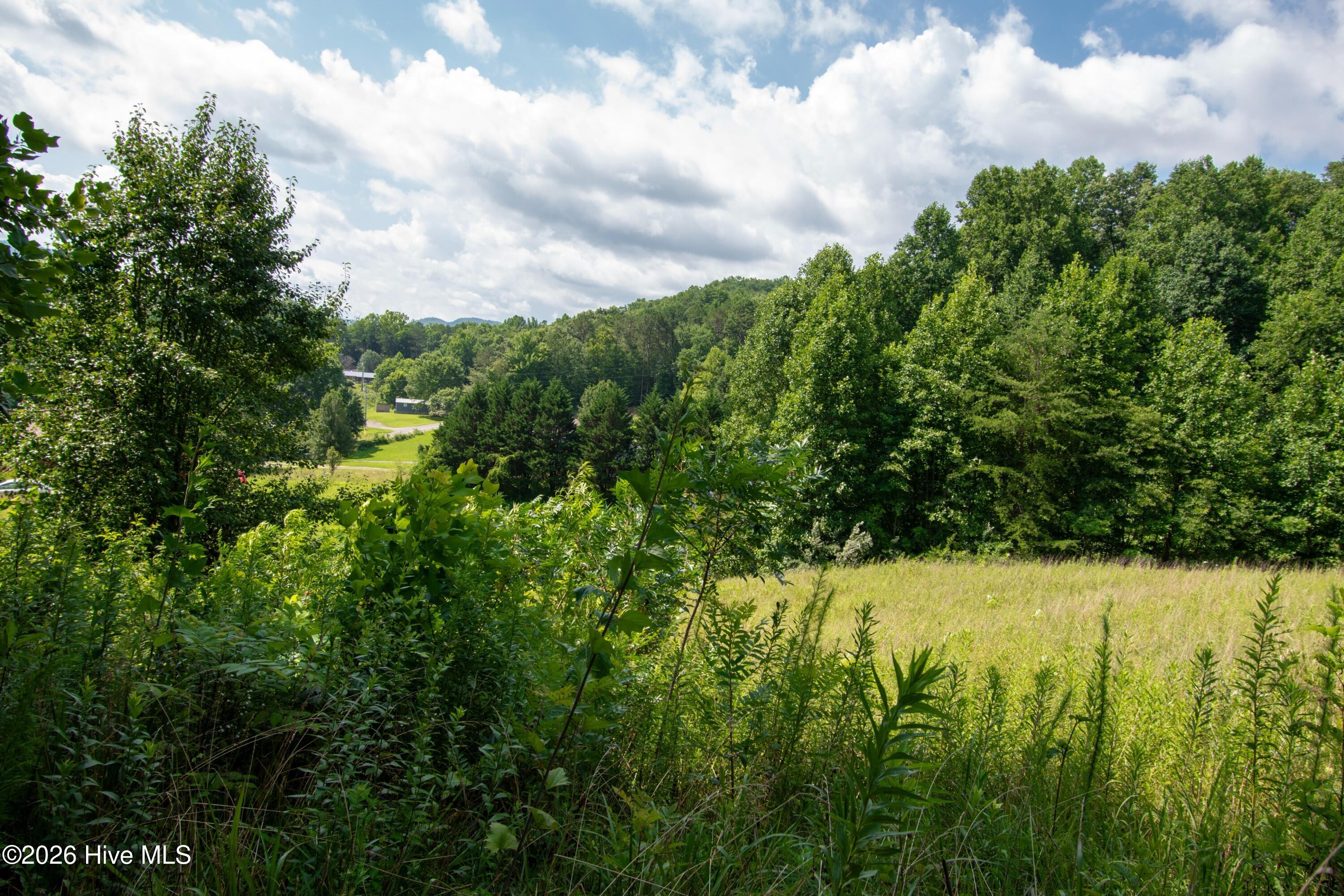 Exterior photo of 117 18 Henry Moss Lane, Marble, NC 28905. MLS: 100588195
