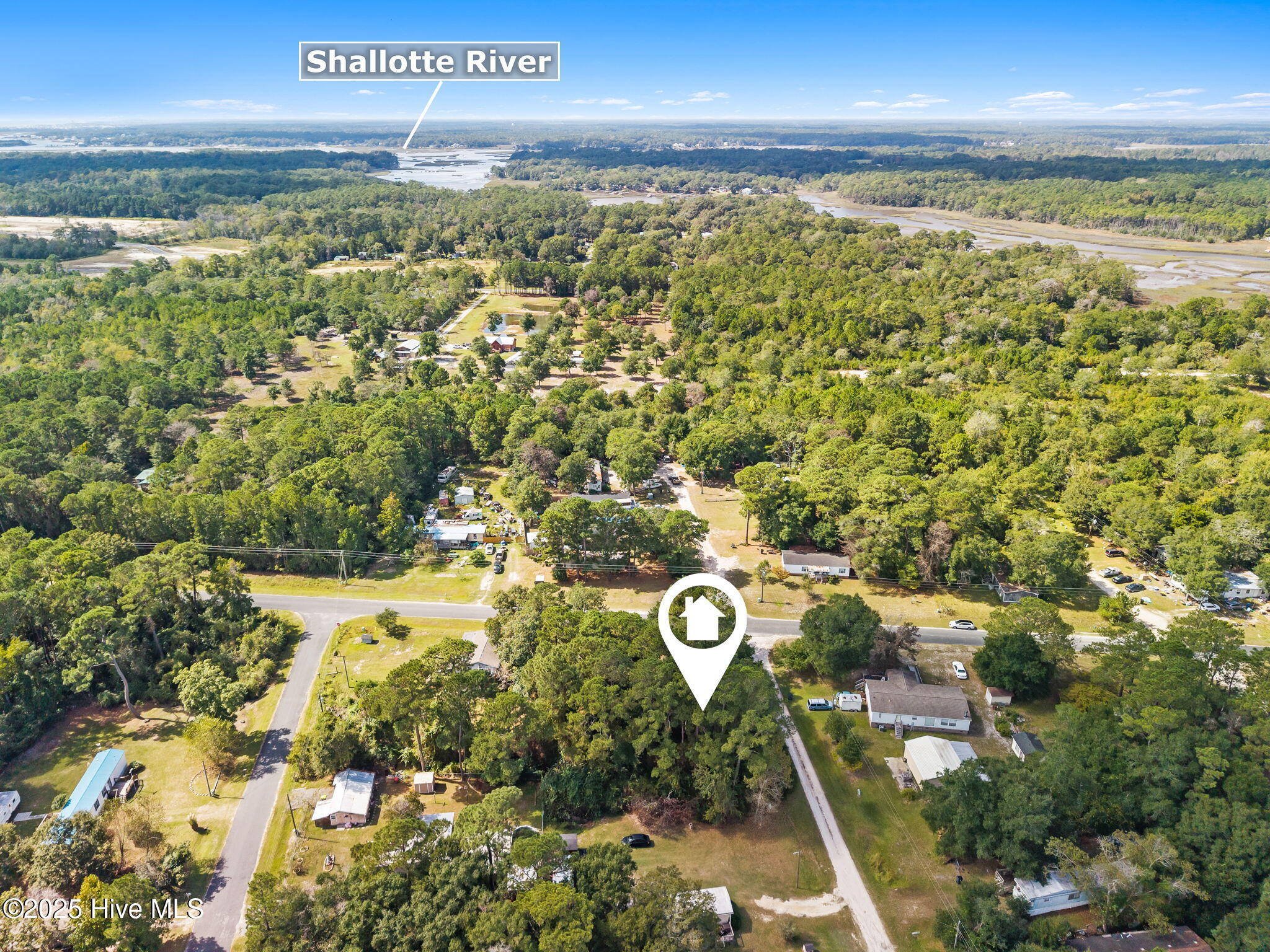 100535814 | Photo 14