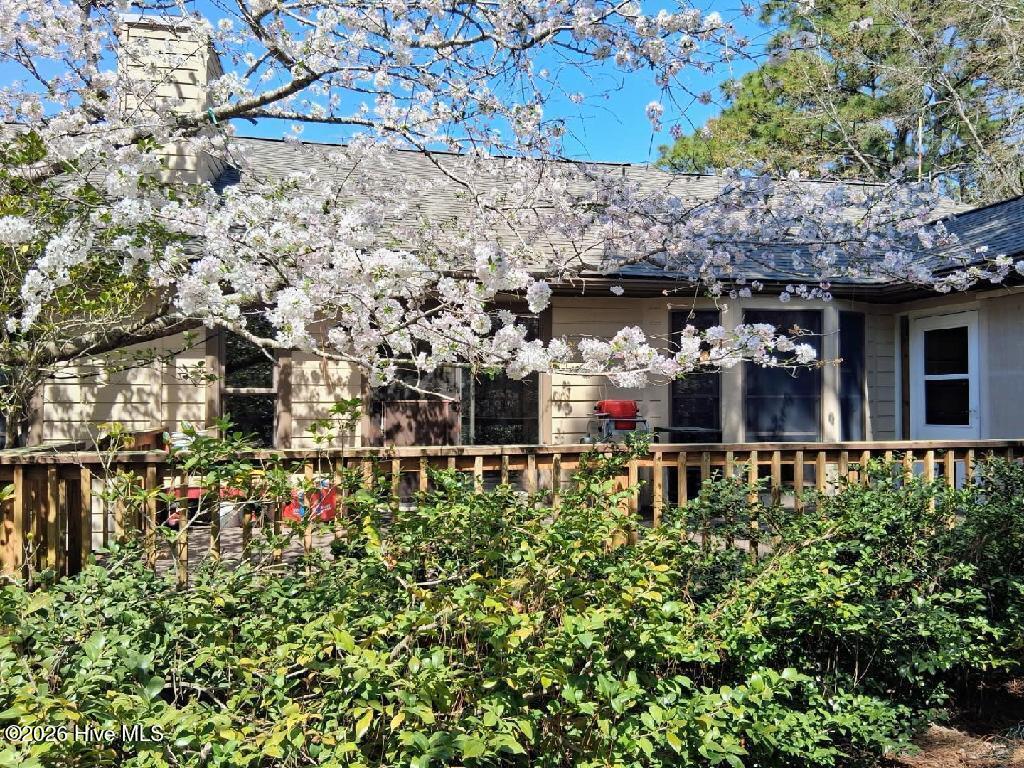 100561696 | Photo 29