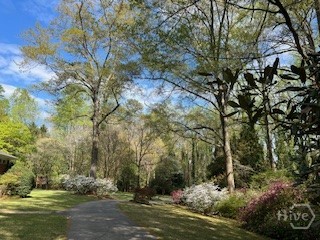 Driveway