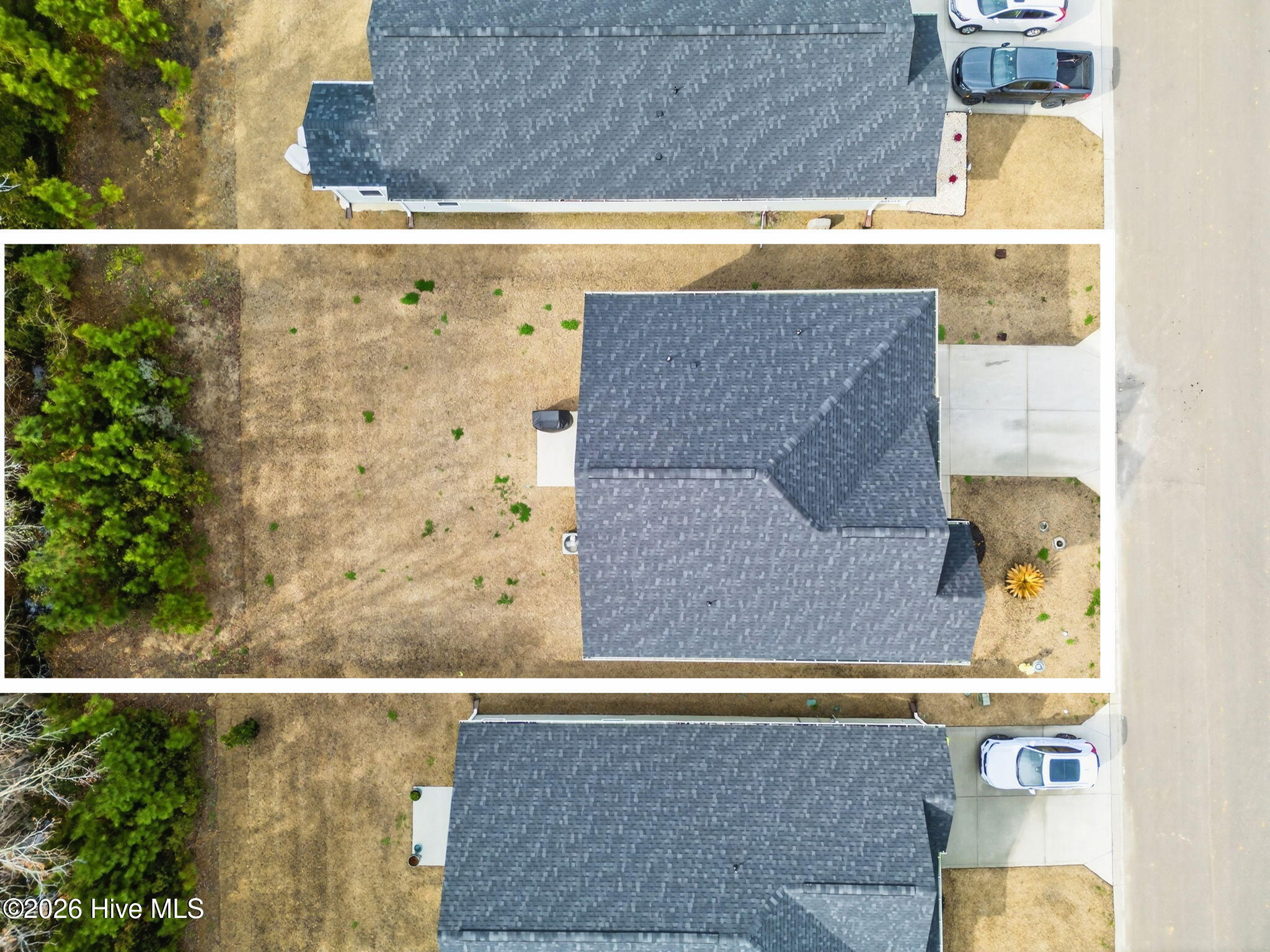 100556133 | Photo 49