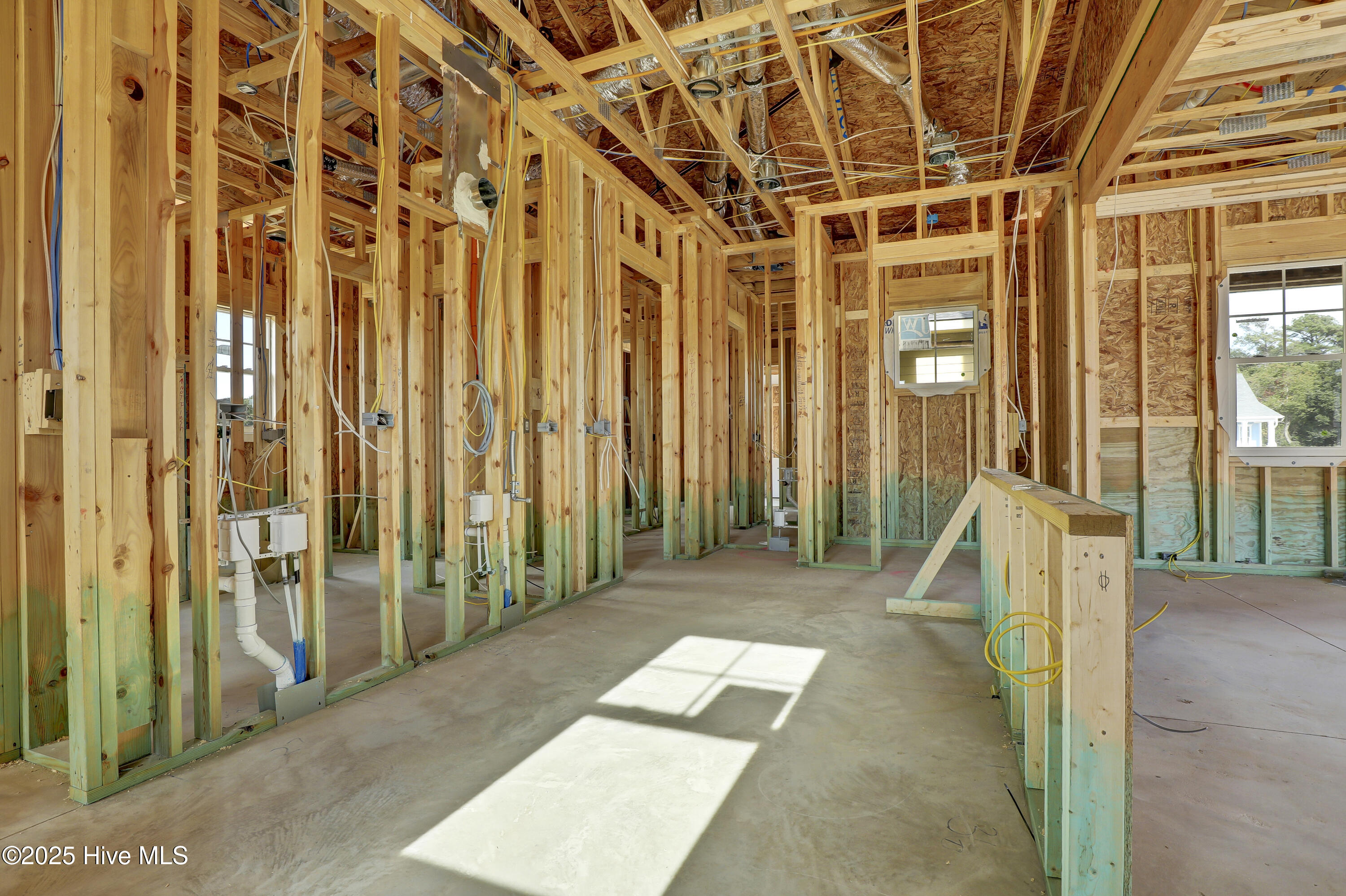 100539864 | Photo 16