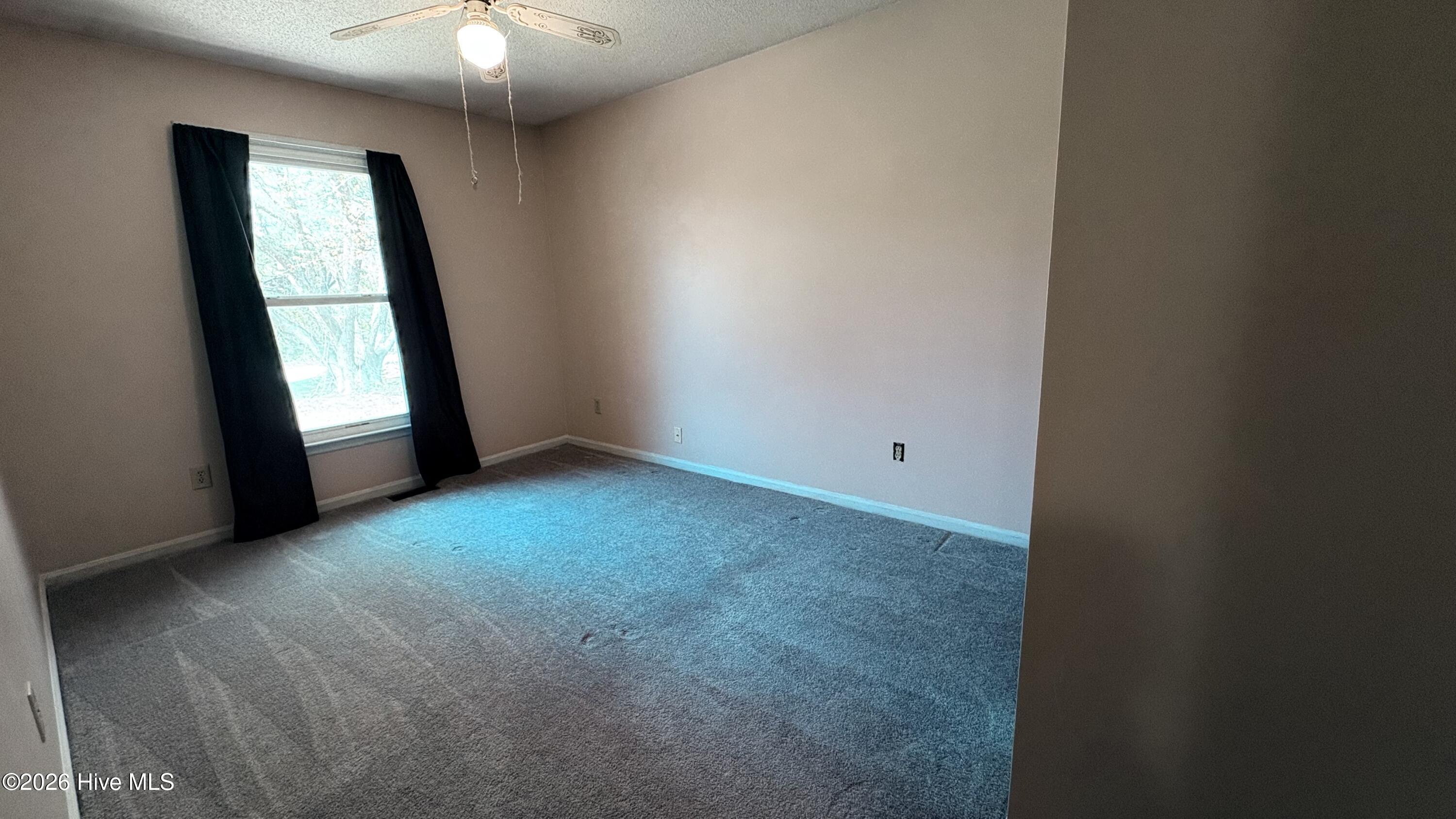 100562098 | Photo 14