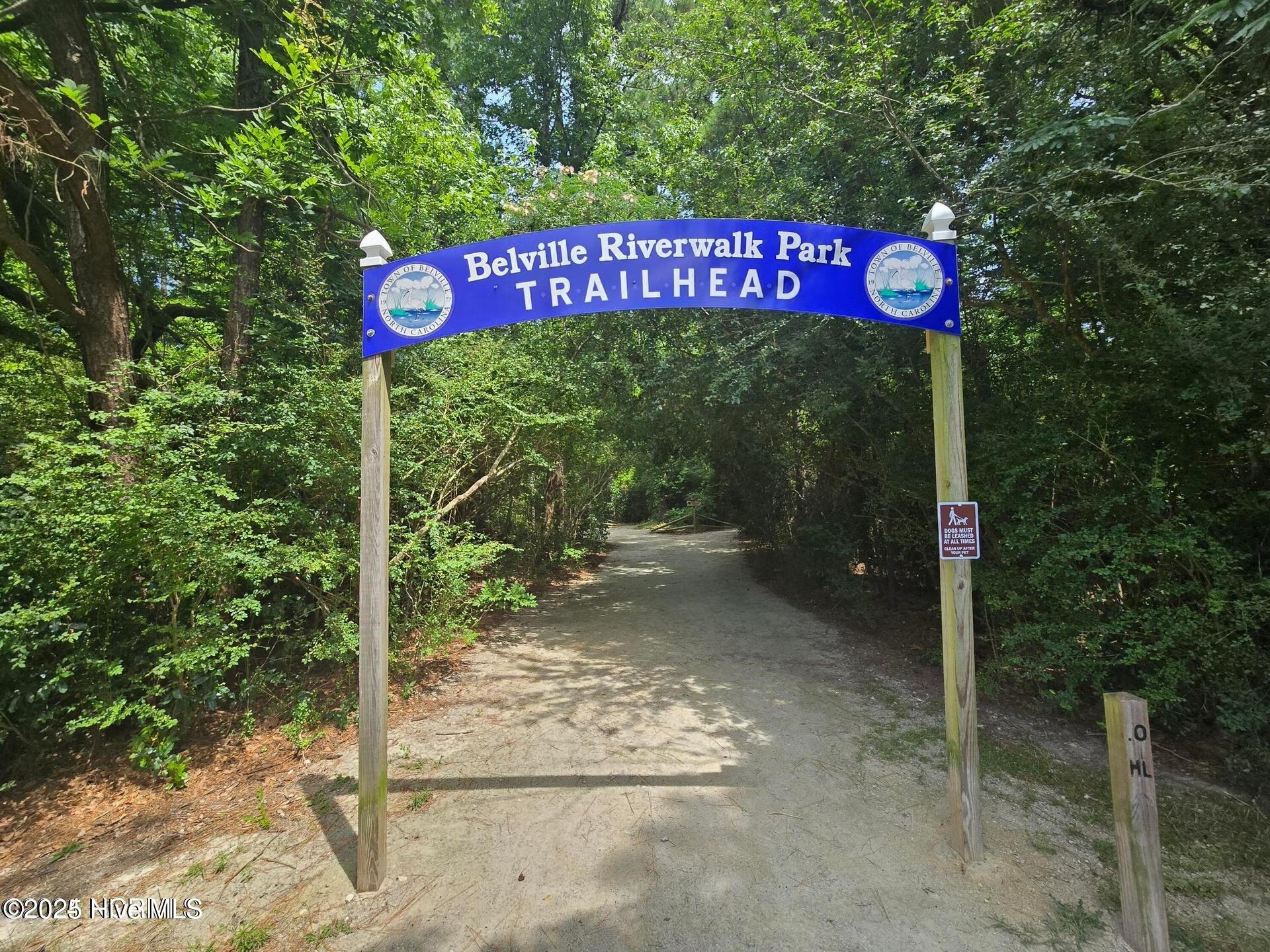 100535606 | Photo 30