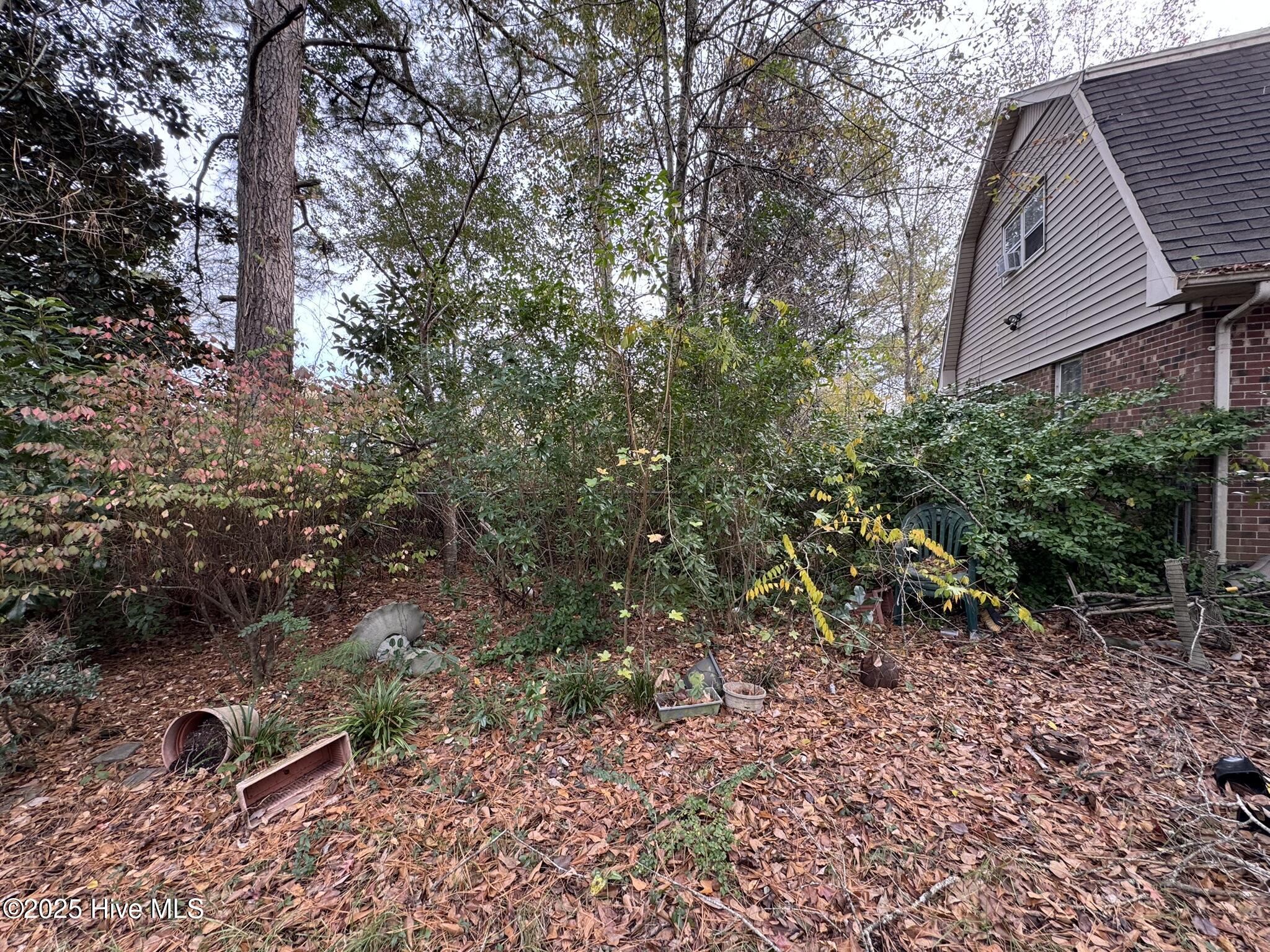 100544734 | Photo 11