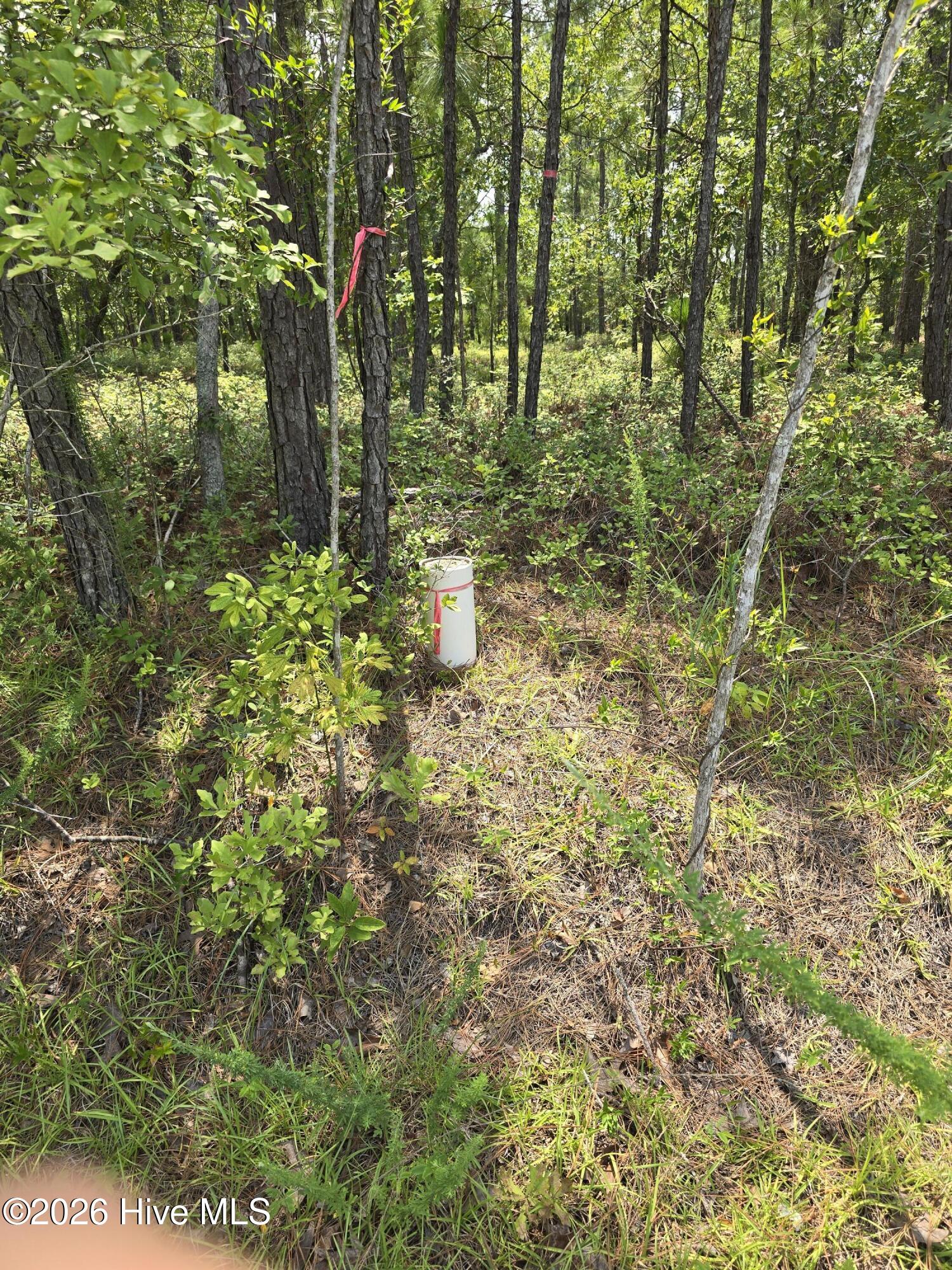 Lot 10 10 Woola Woola Lane,Grantsboro