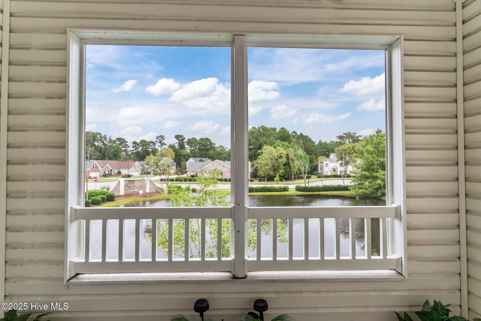 100532353 | Photo 35