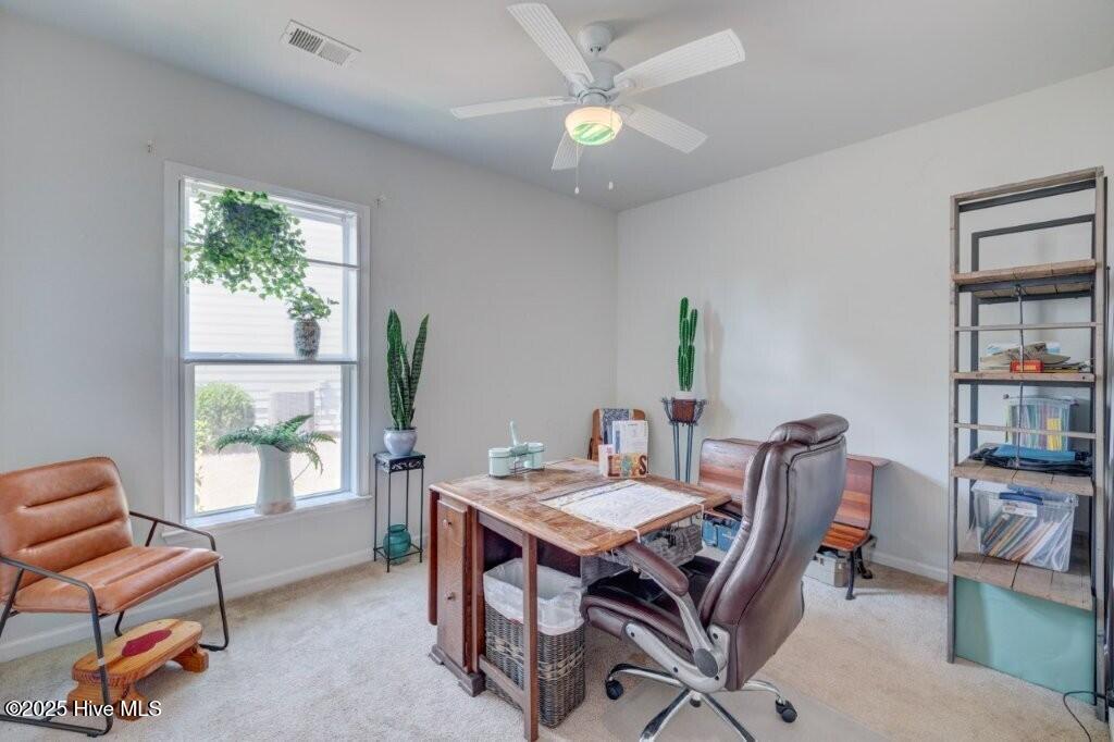 100529096 | Photo 27