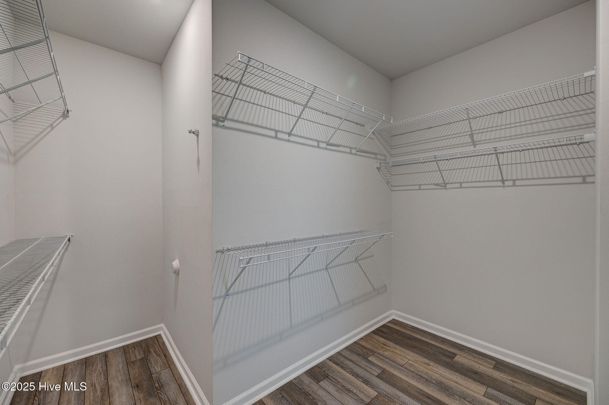 100534106 | Photo 23