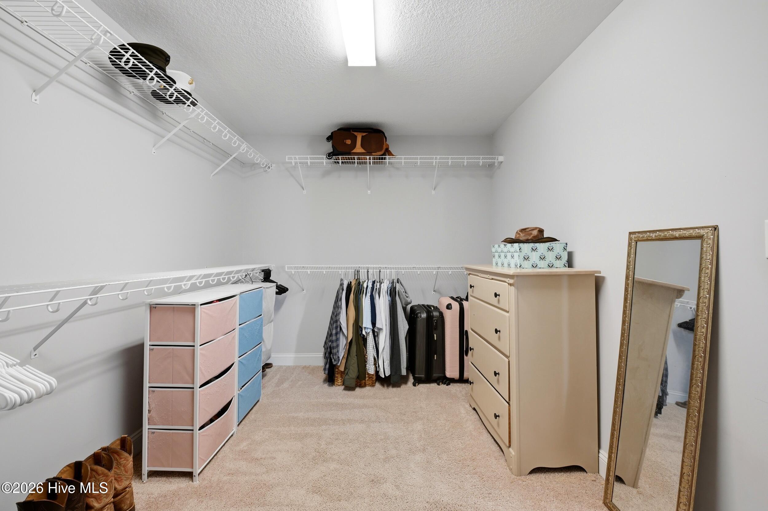 100567654 | Photo 13