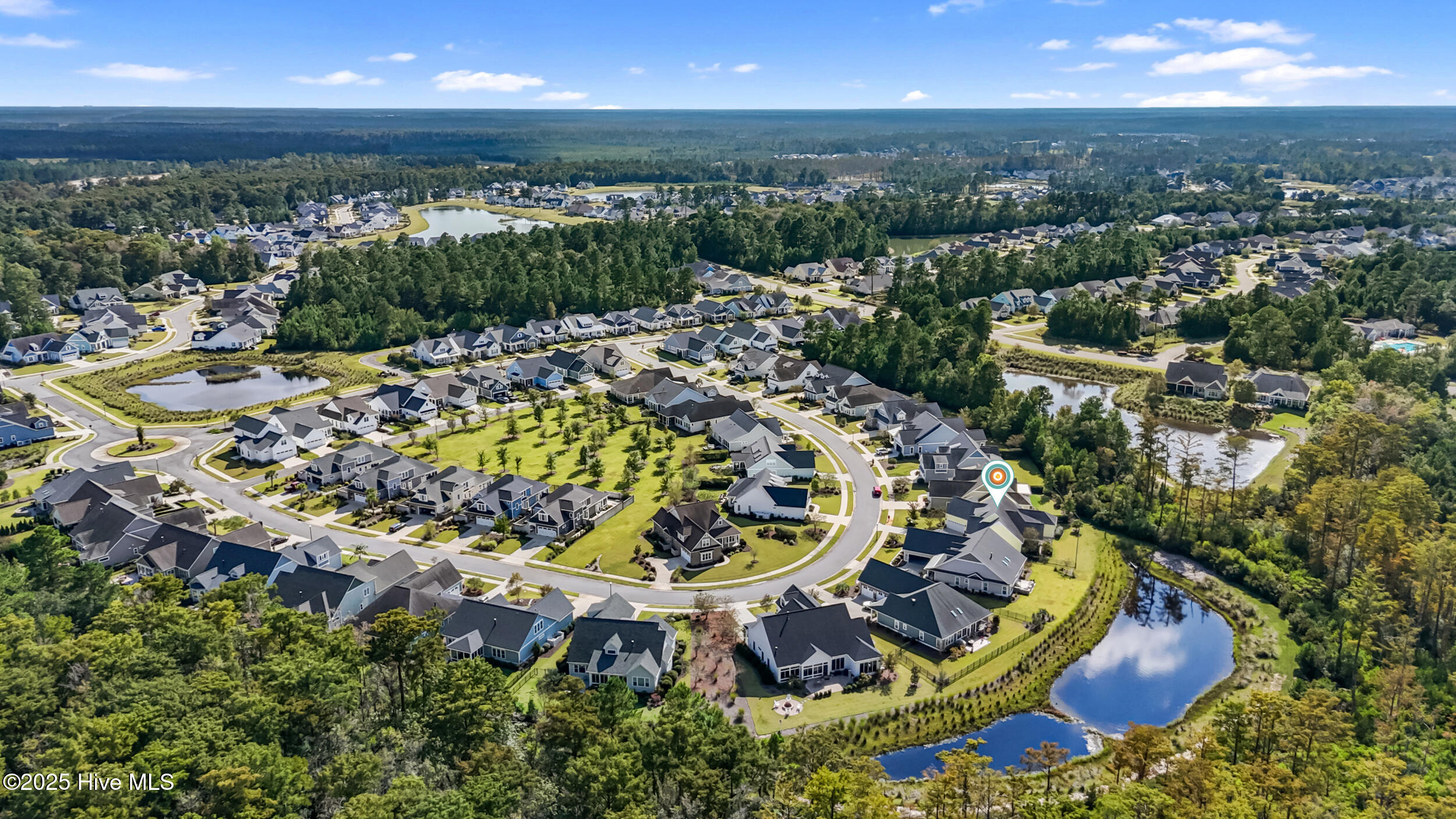 100534390 | Photo 61