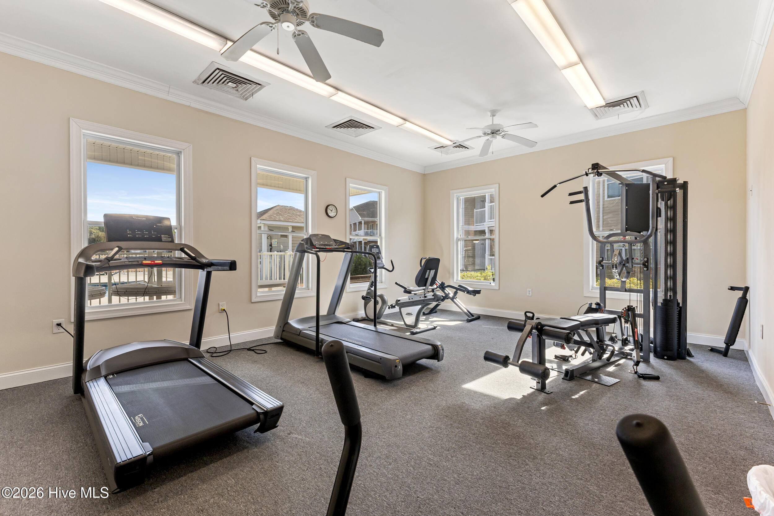 100549043 | Photo 17