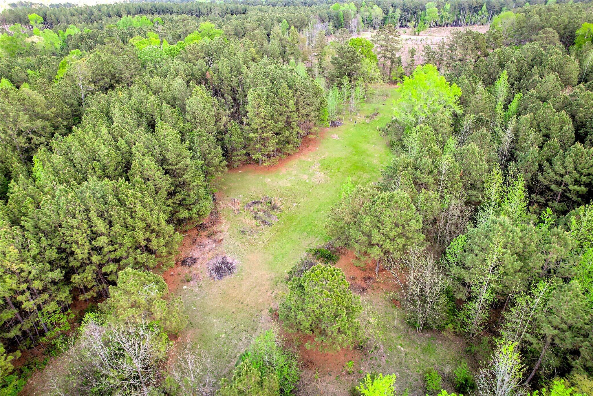 6995 Cobbham Road, Appling, GA, 30802