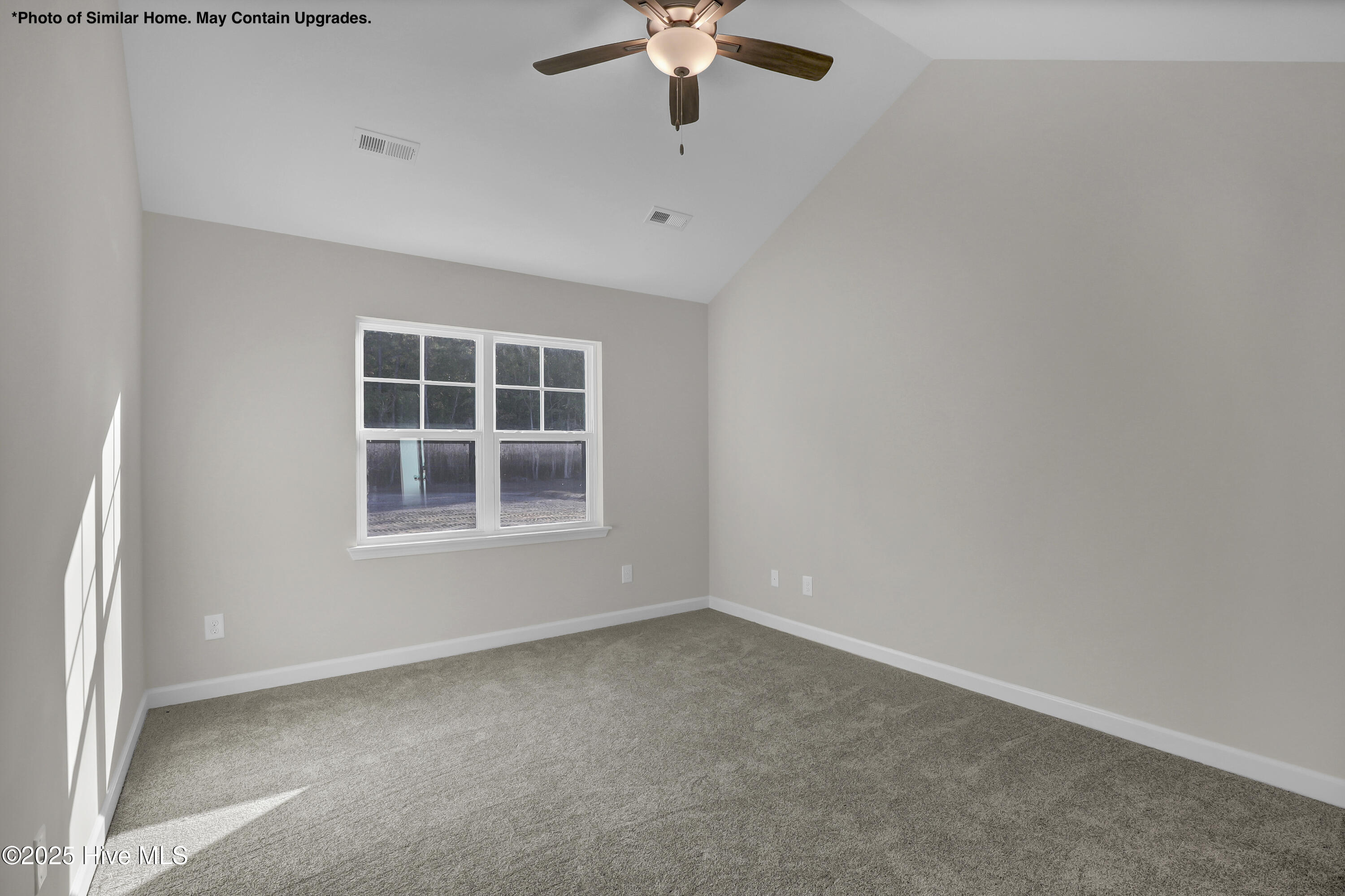 100514032 | Photo 15