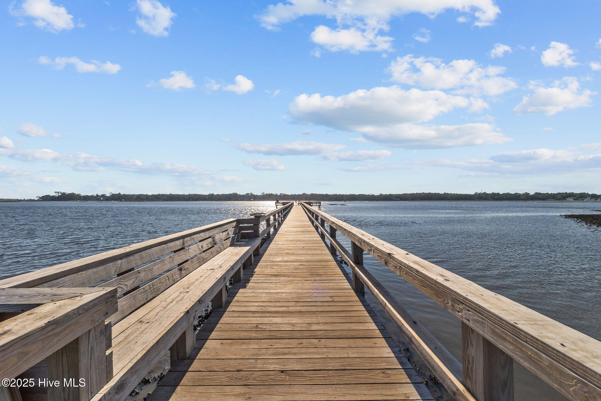 100533176 | Photo 18