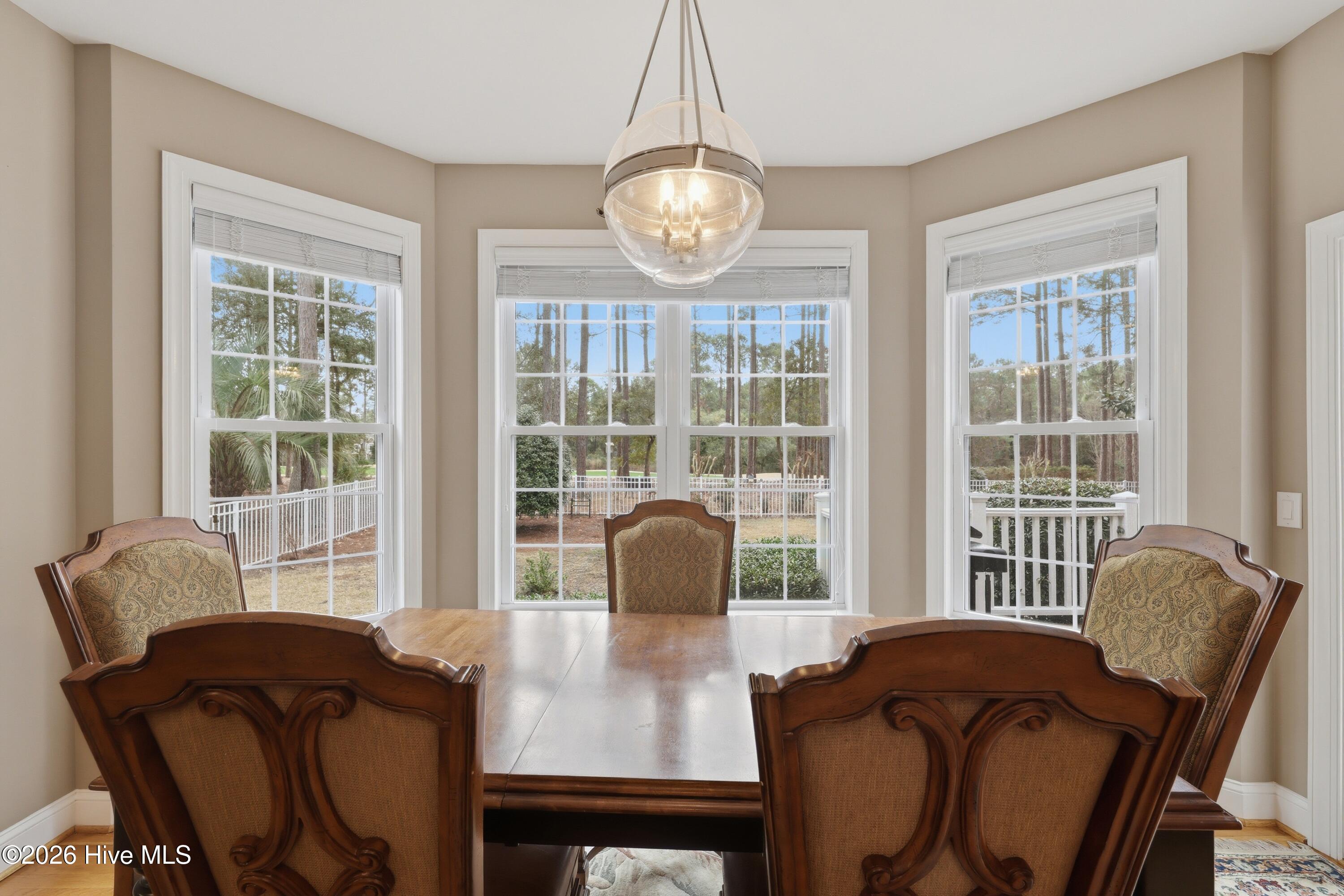 100558451 | Photo 27