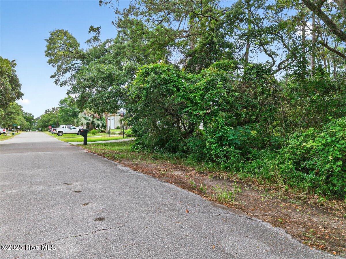 100510821 | Photo 35