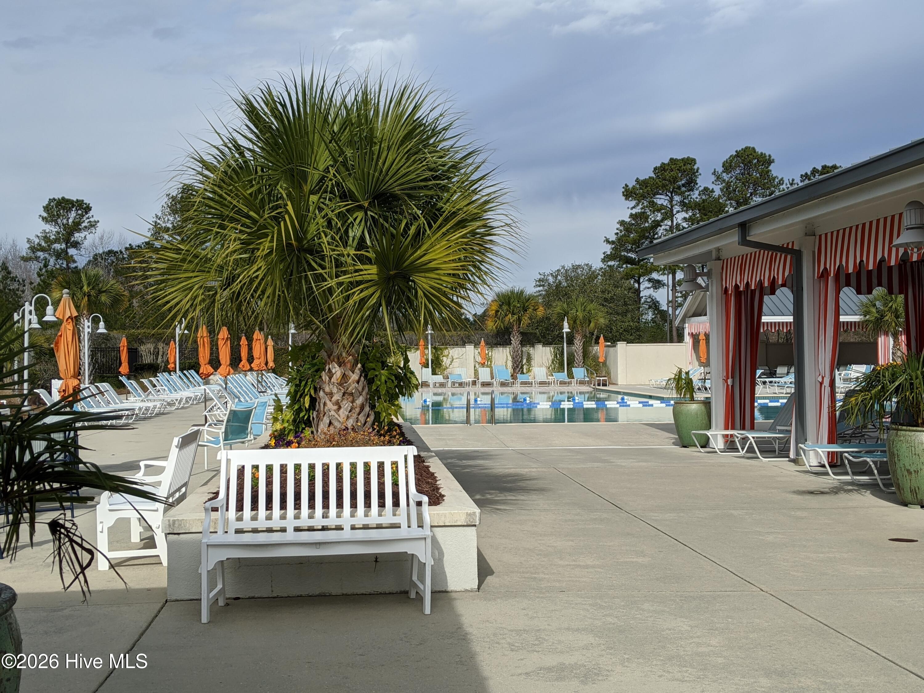 100564623 | Photo 28