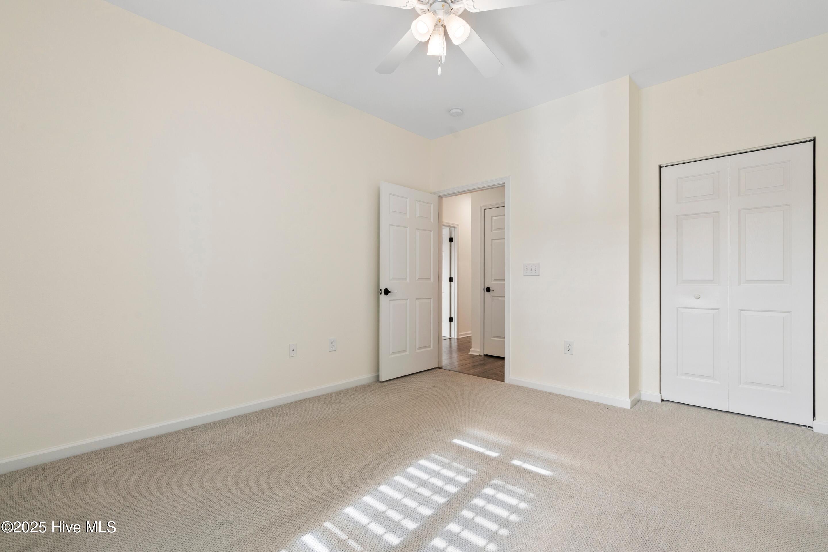 100542567 | Photo 19