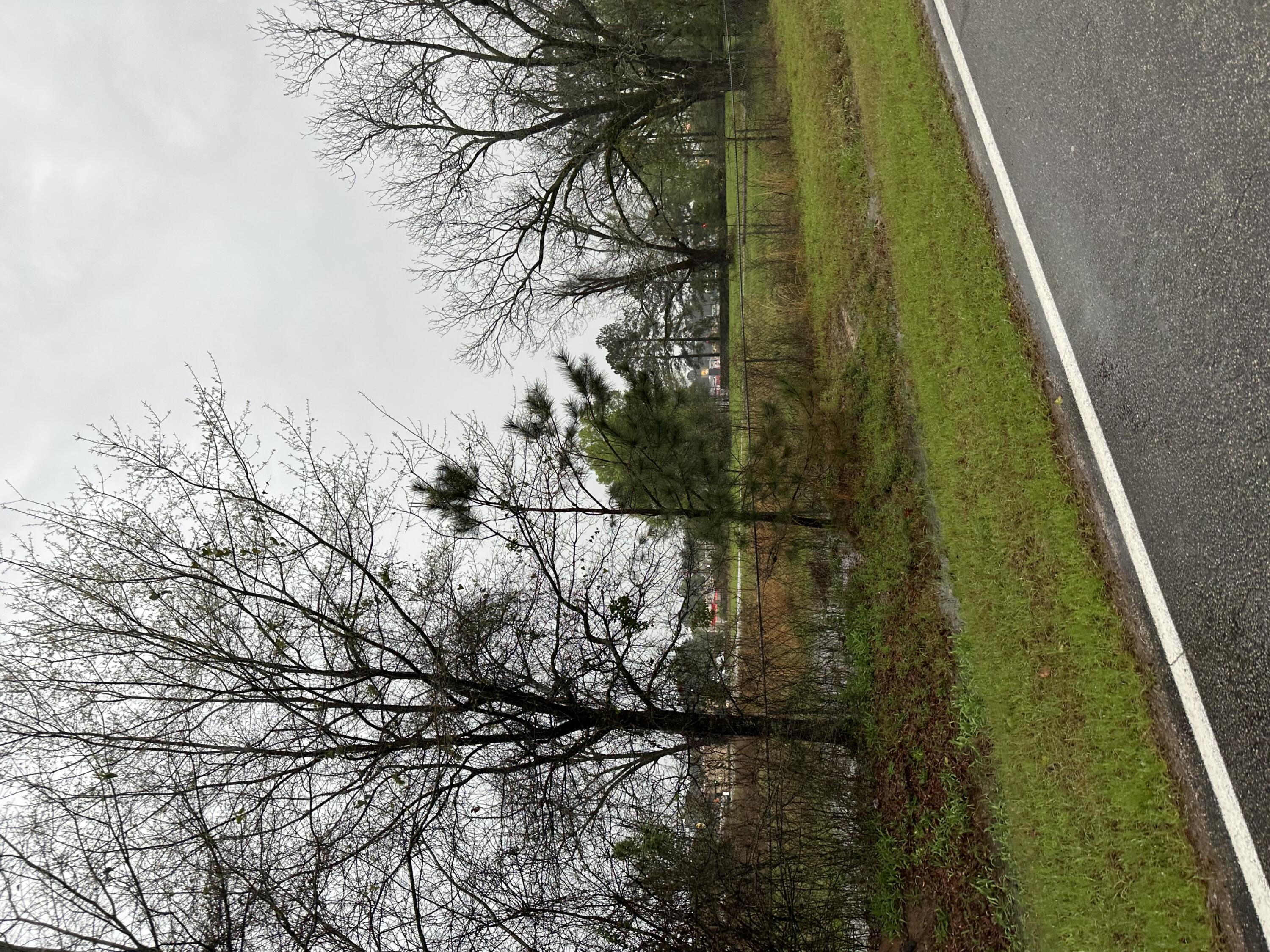 0 OLD WASHINGTON, Thomson, Georgia, 0 ,Unimproved Land,For sale,OLD WASHINGTON,539000