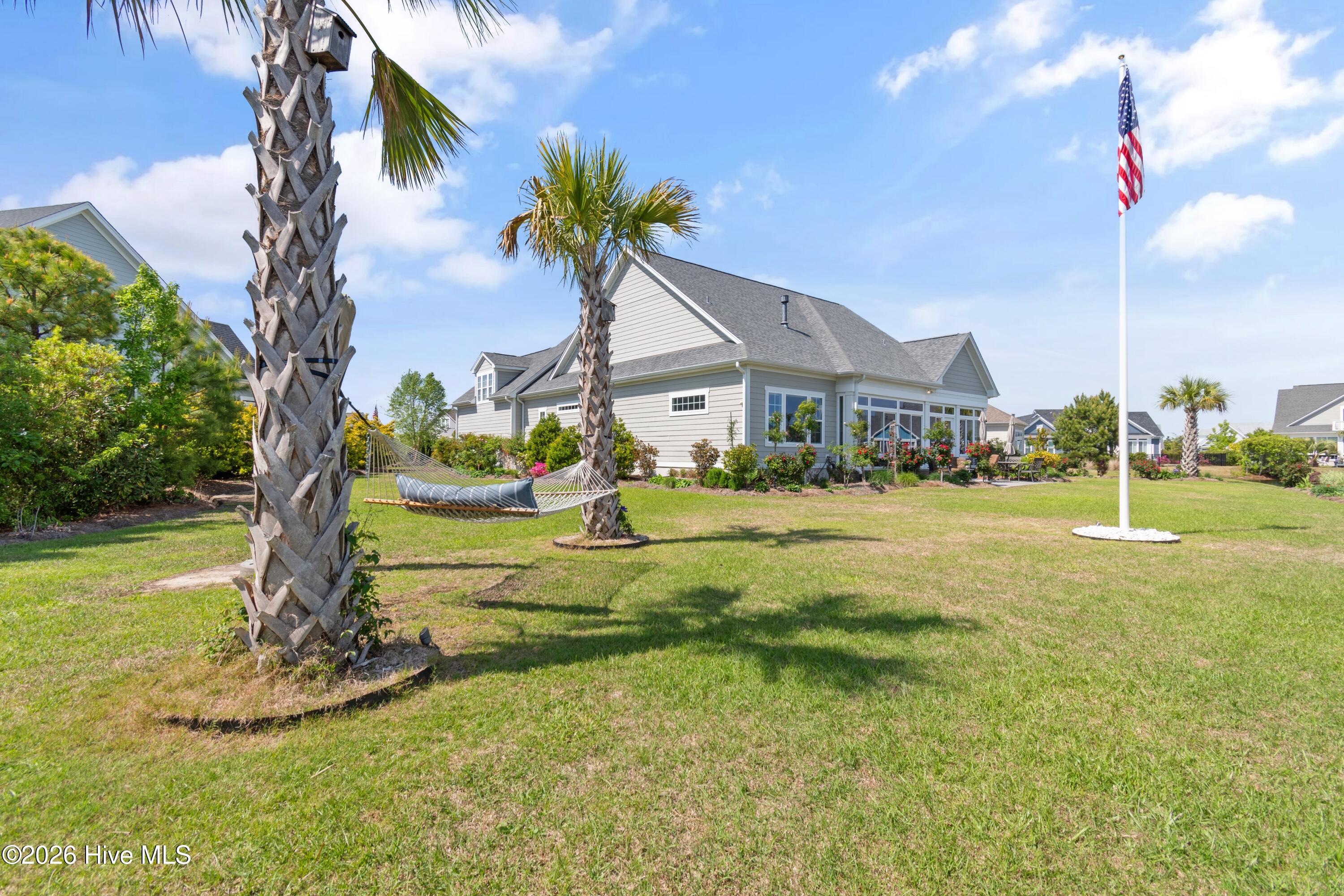 100560288 | Photo 78