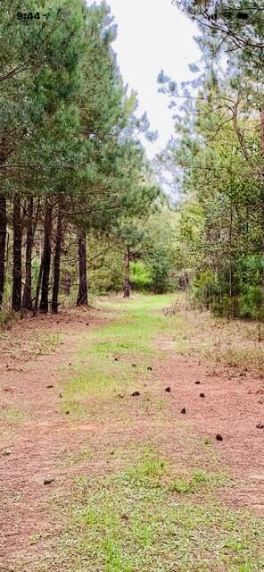 2405 HWY 88, Hephzibah, GA, 30815