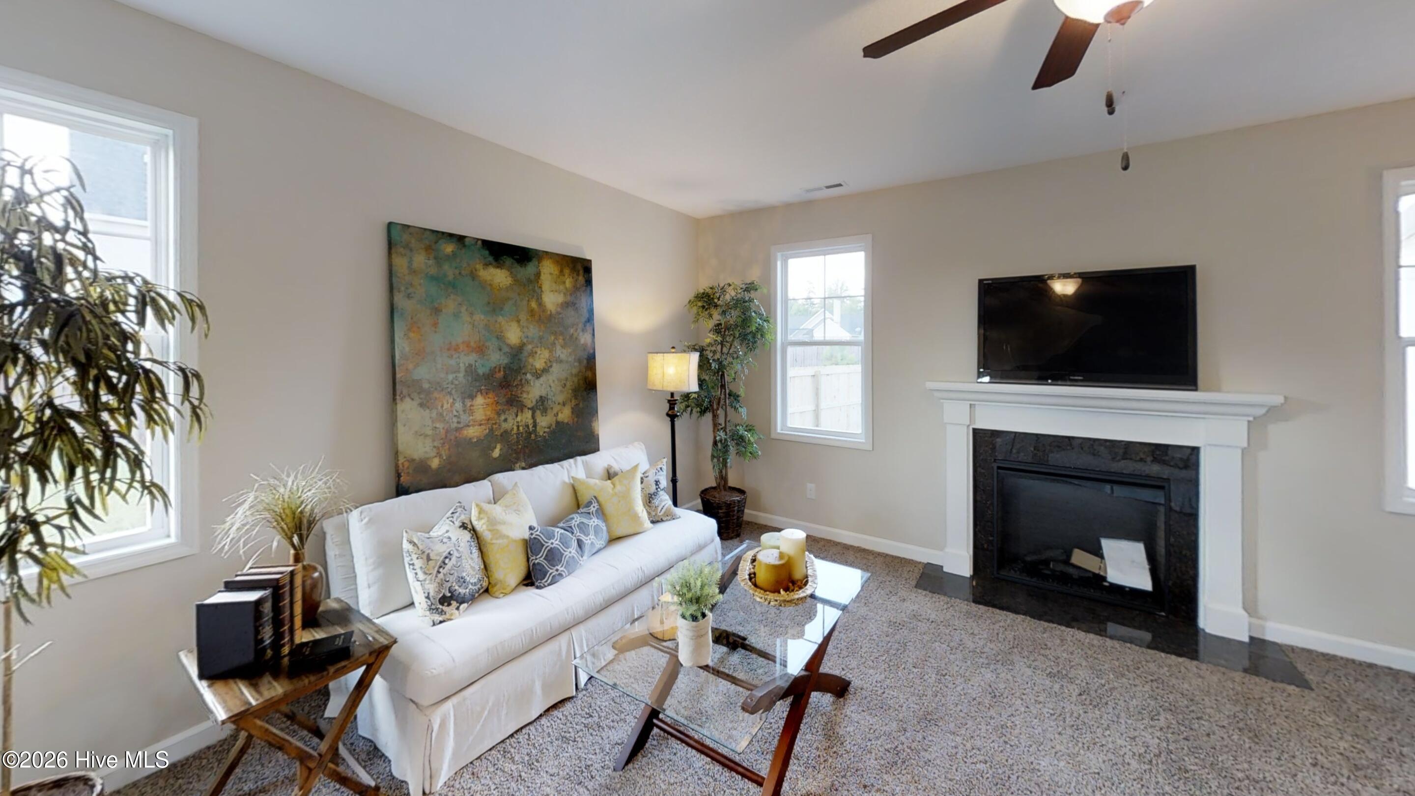 100563433 | Photo 30