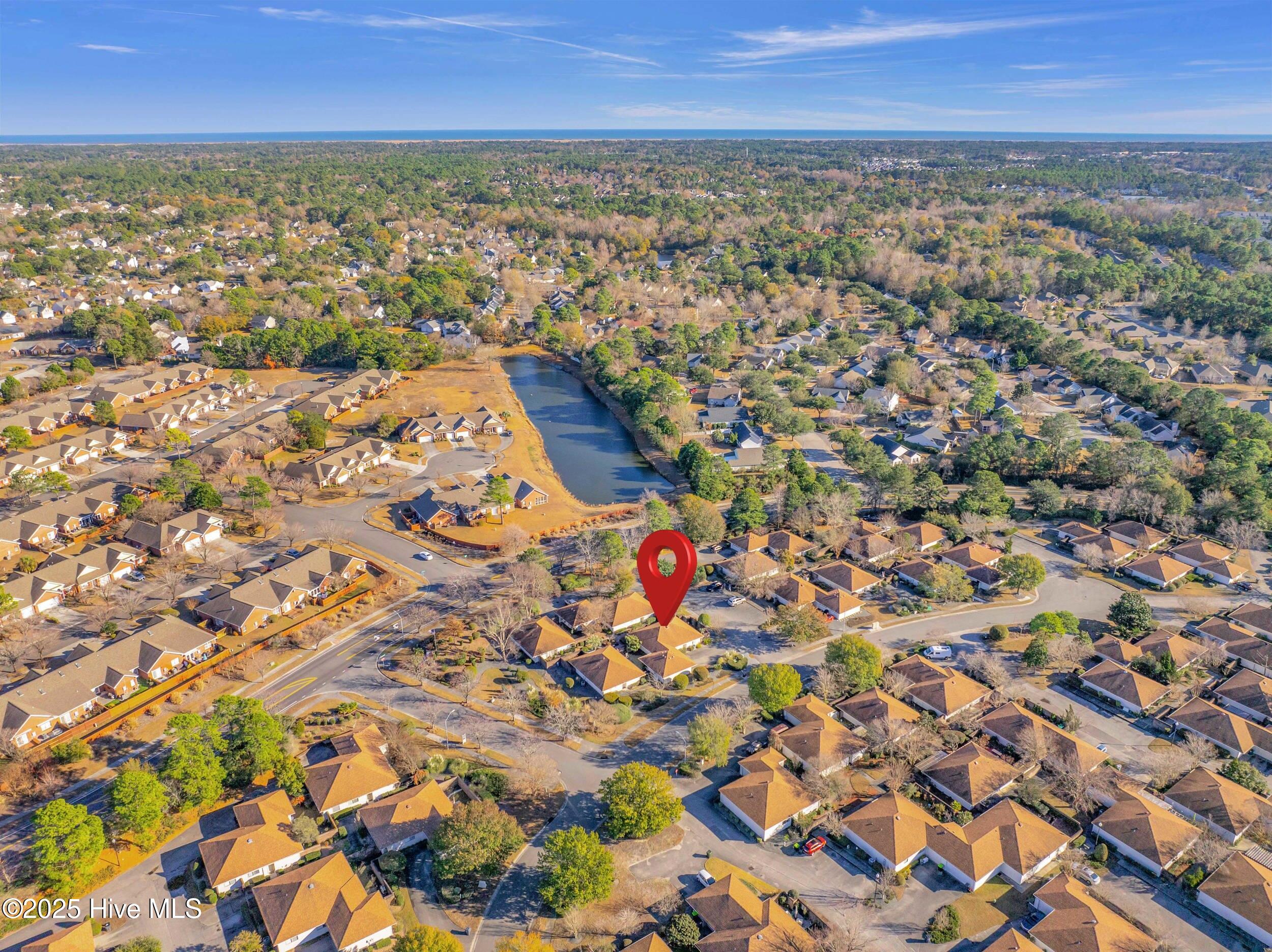 100547235 | Photo 37