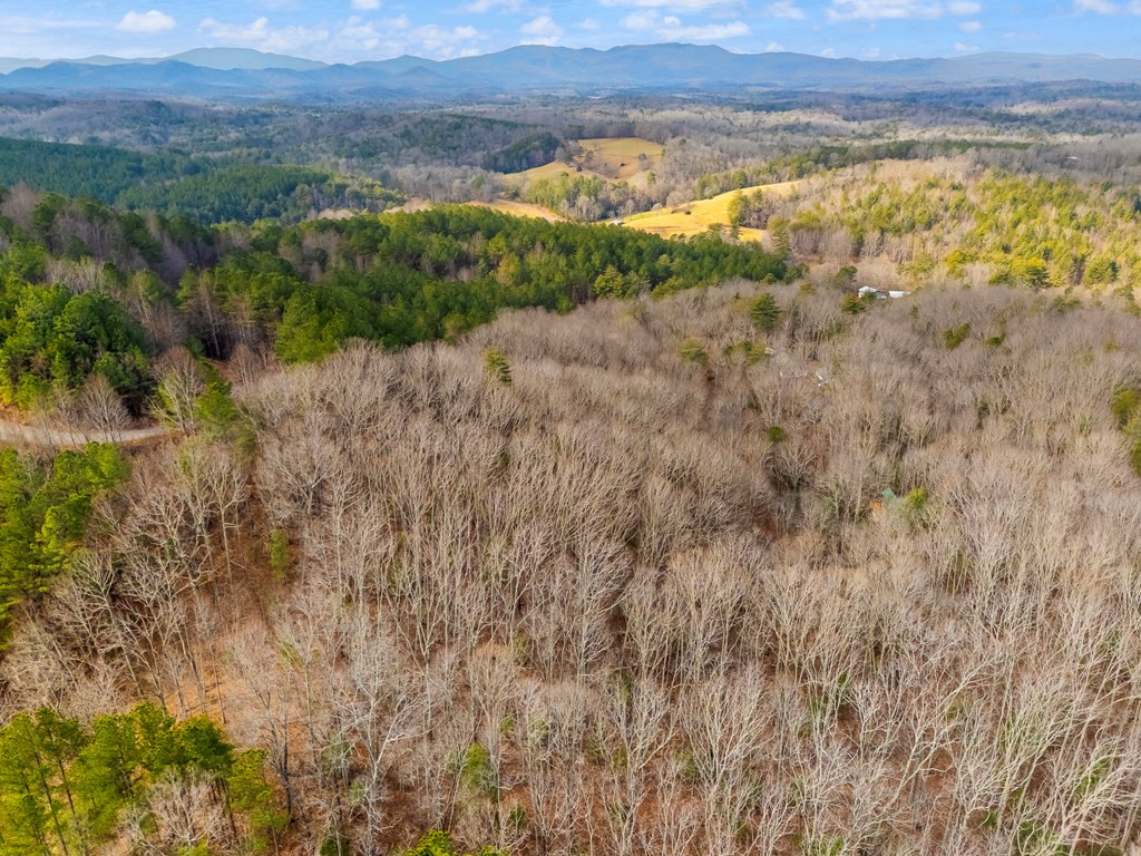 Exterior photo of 3.45 ac Guy Eller Road, Murphy, NC 28906. MLS: 98539627