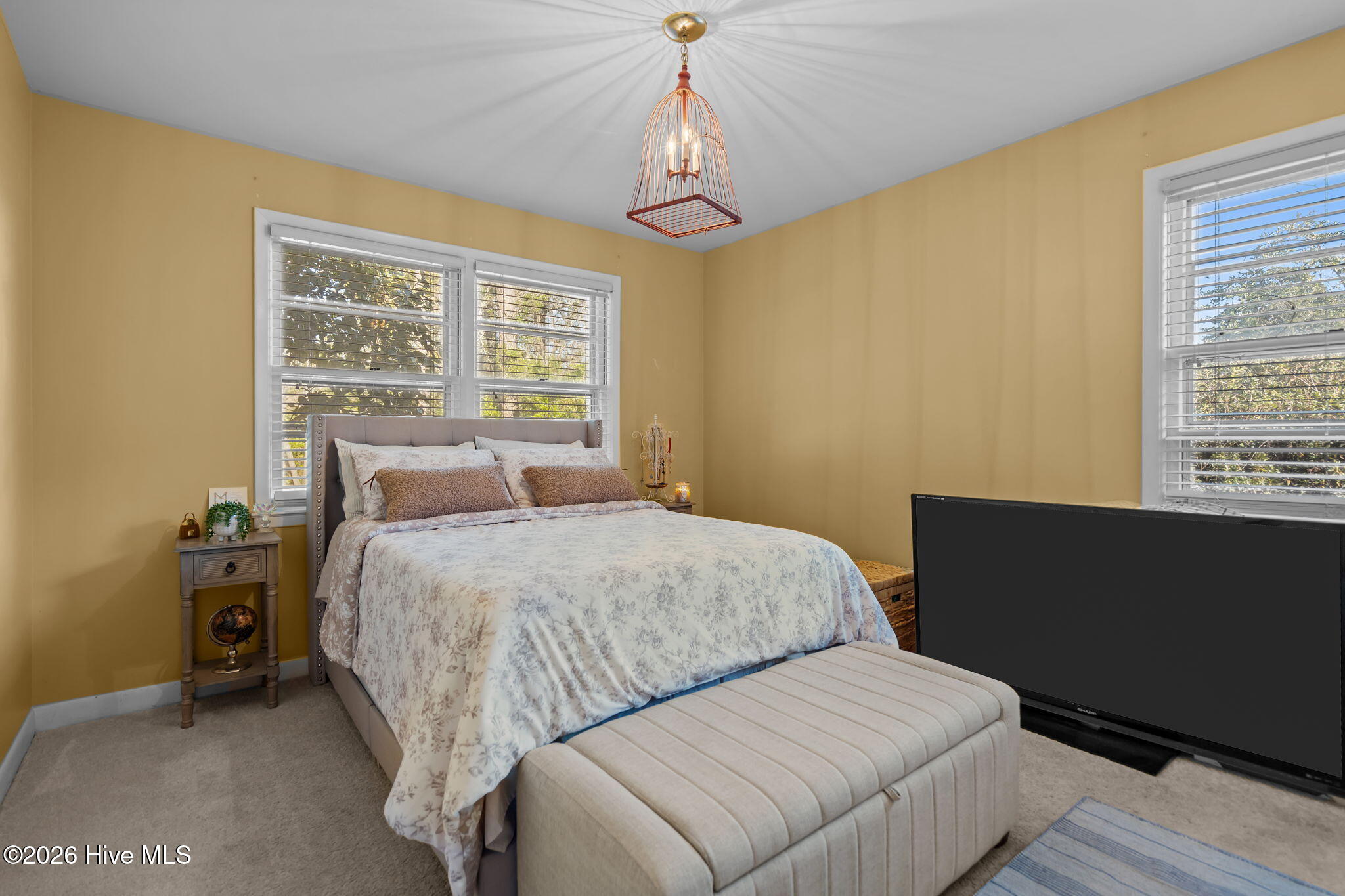 100525803 | Photo 27