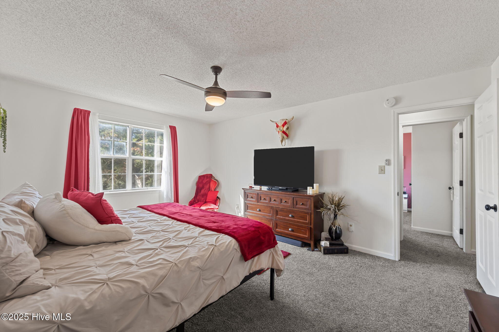 100539001 | Photo 23