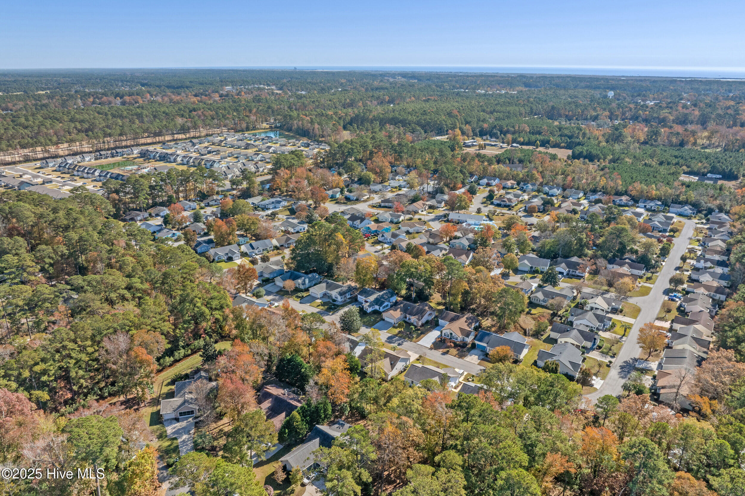 100542117 | Photo 45