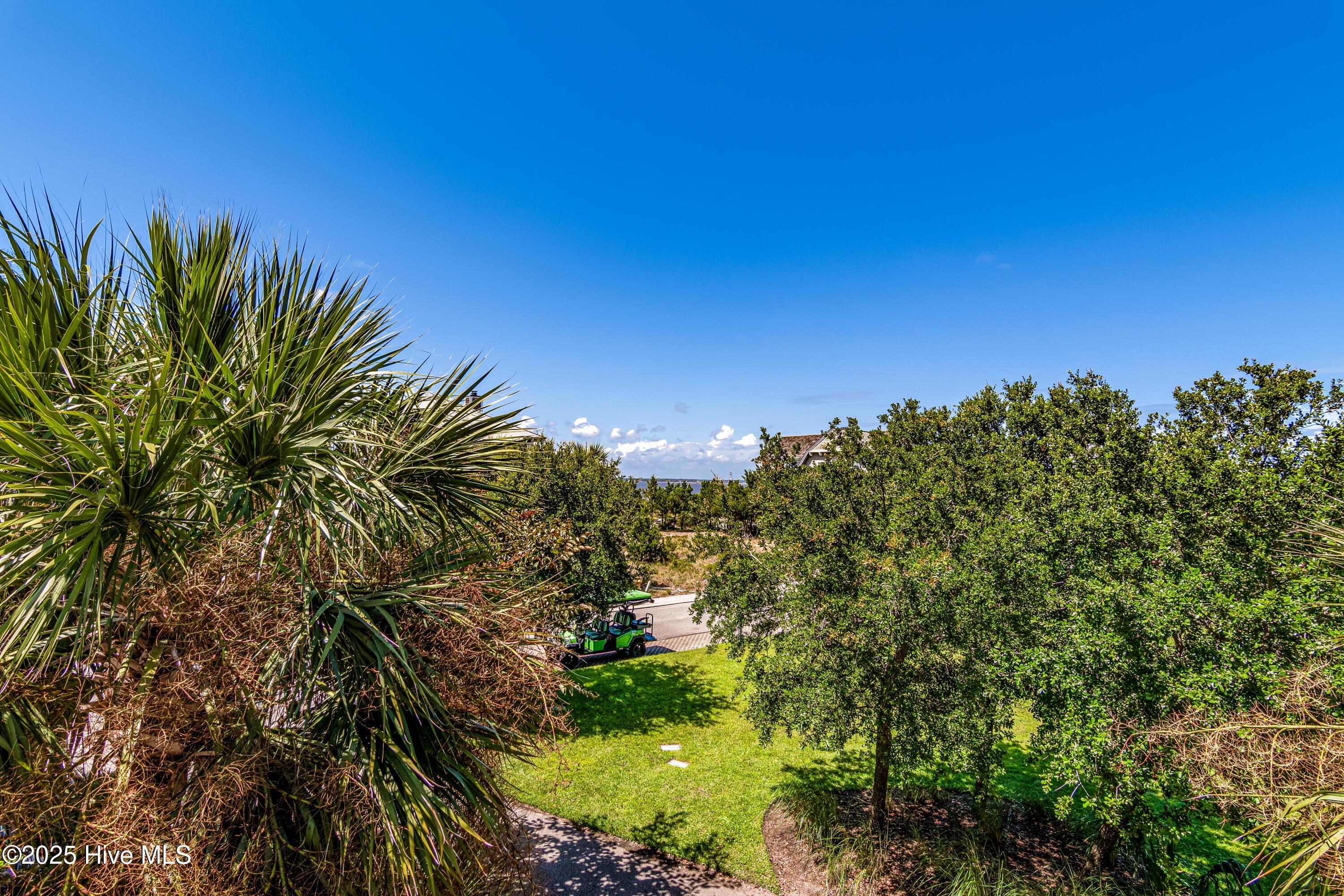 100521321 | Photo 54