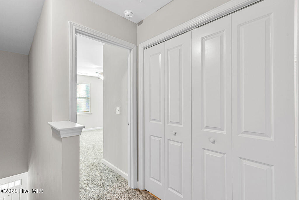 100545435 | Photo 24