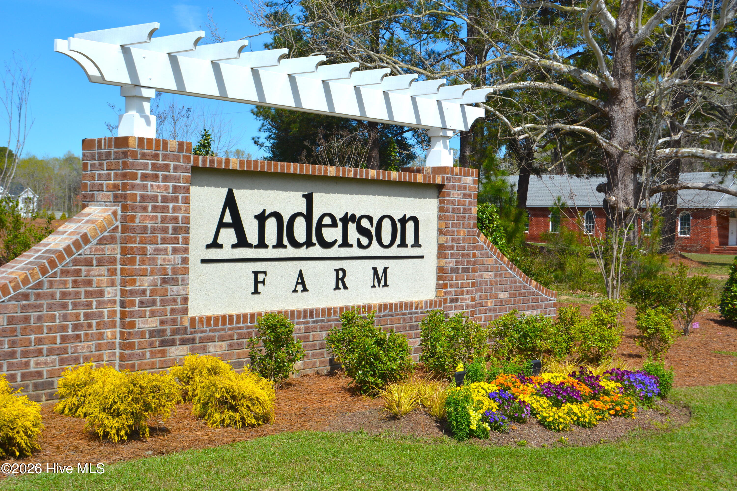 100564290 | Photo 22