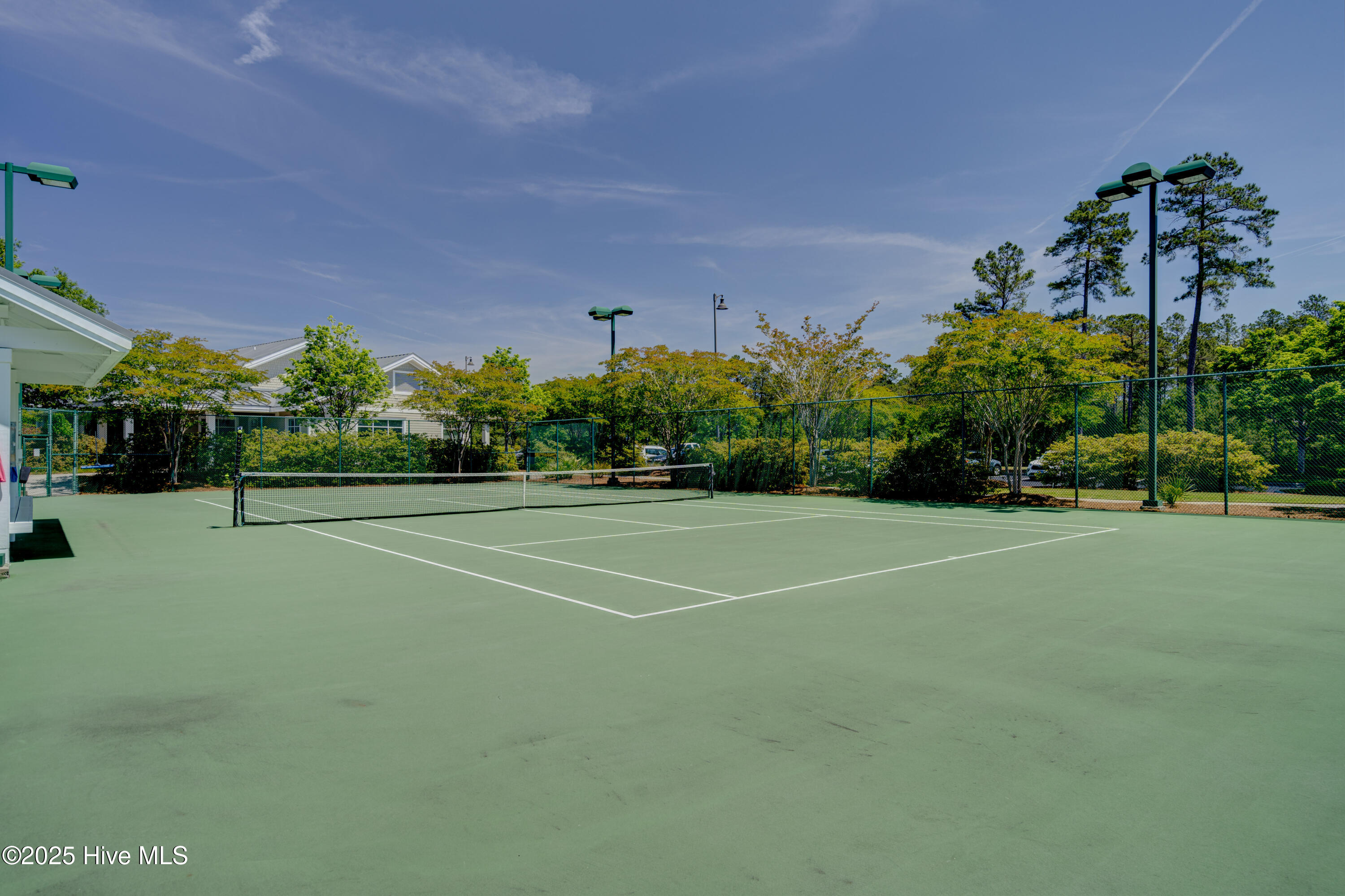 100547164 | Photo 77