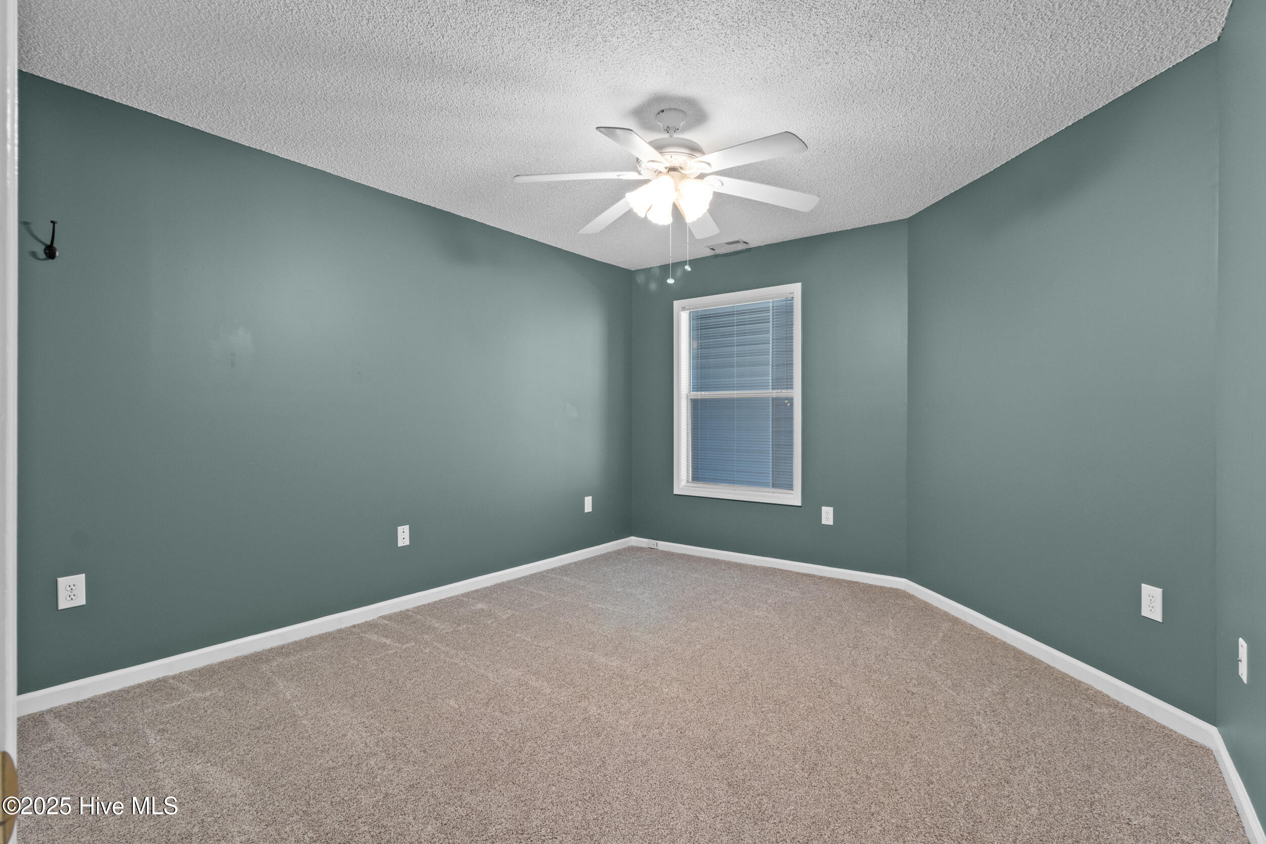 100528795 | Photo 15