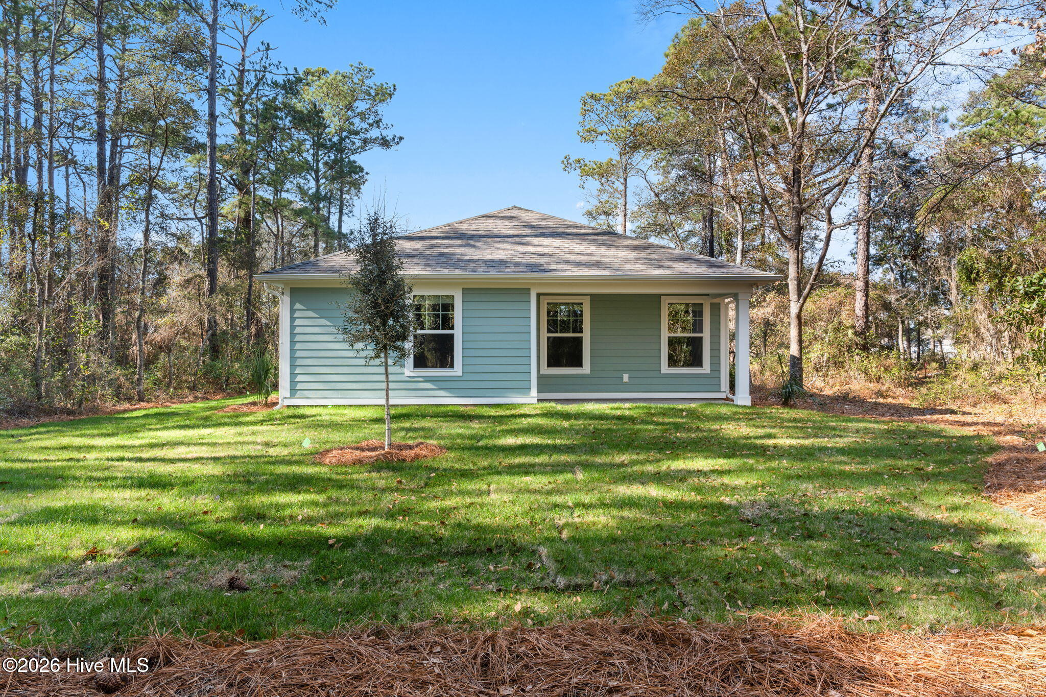 100527921 | Photo 43