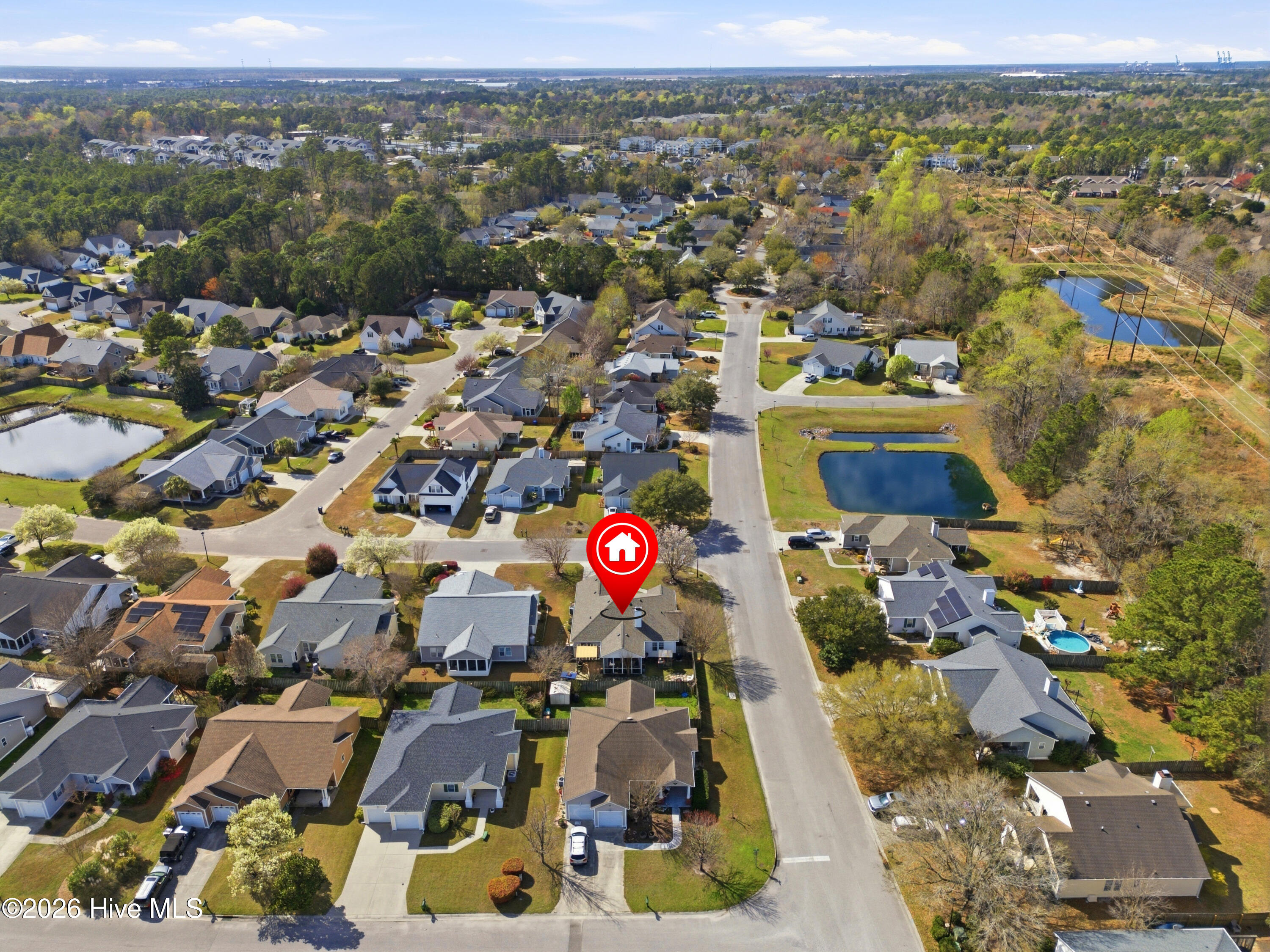 100560497 | Photo 44