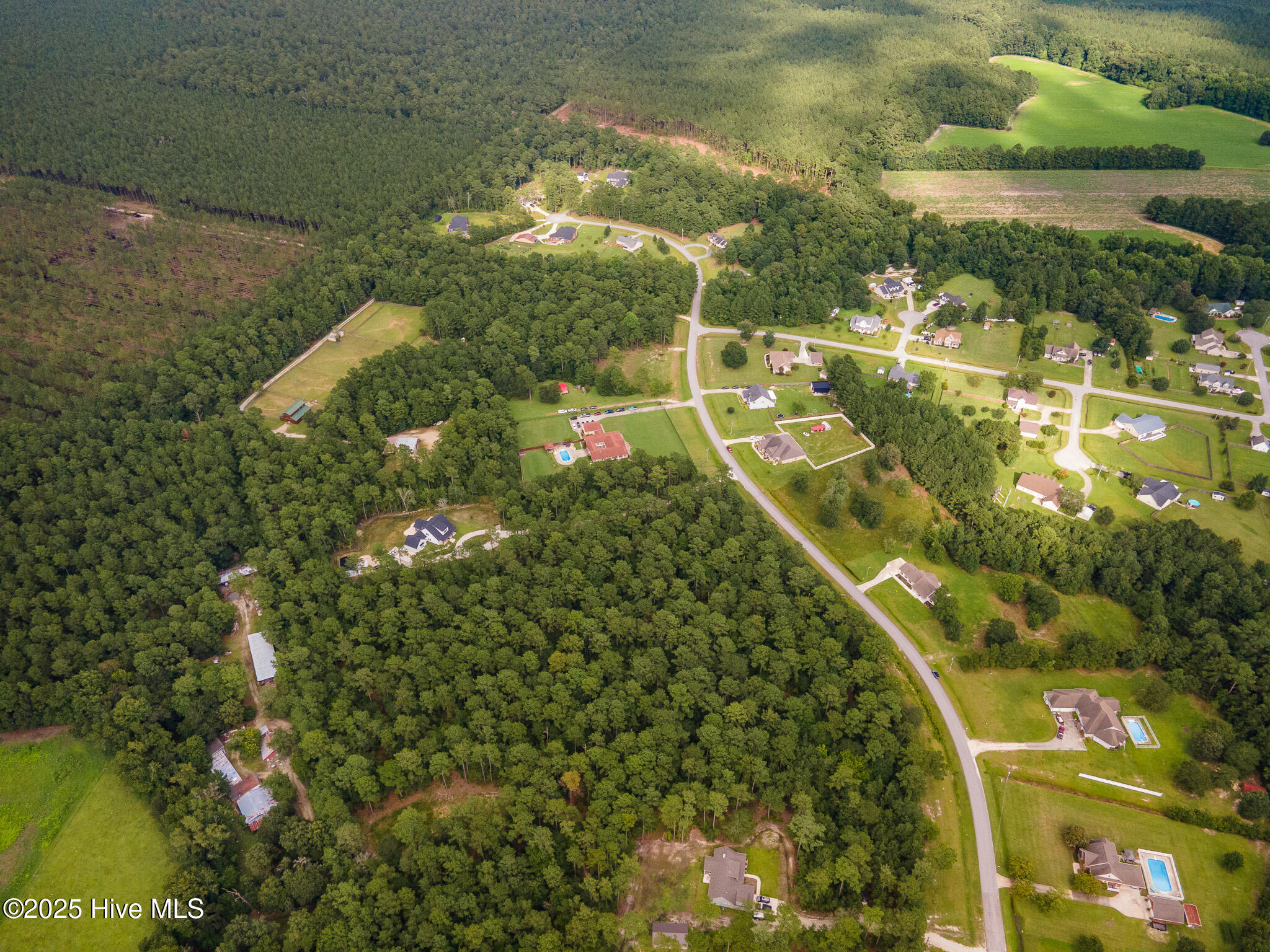 100523955 | Photo 16