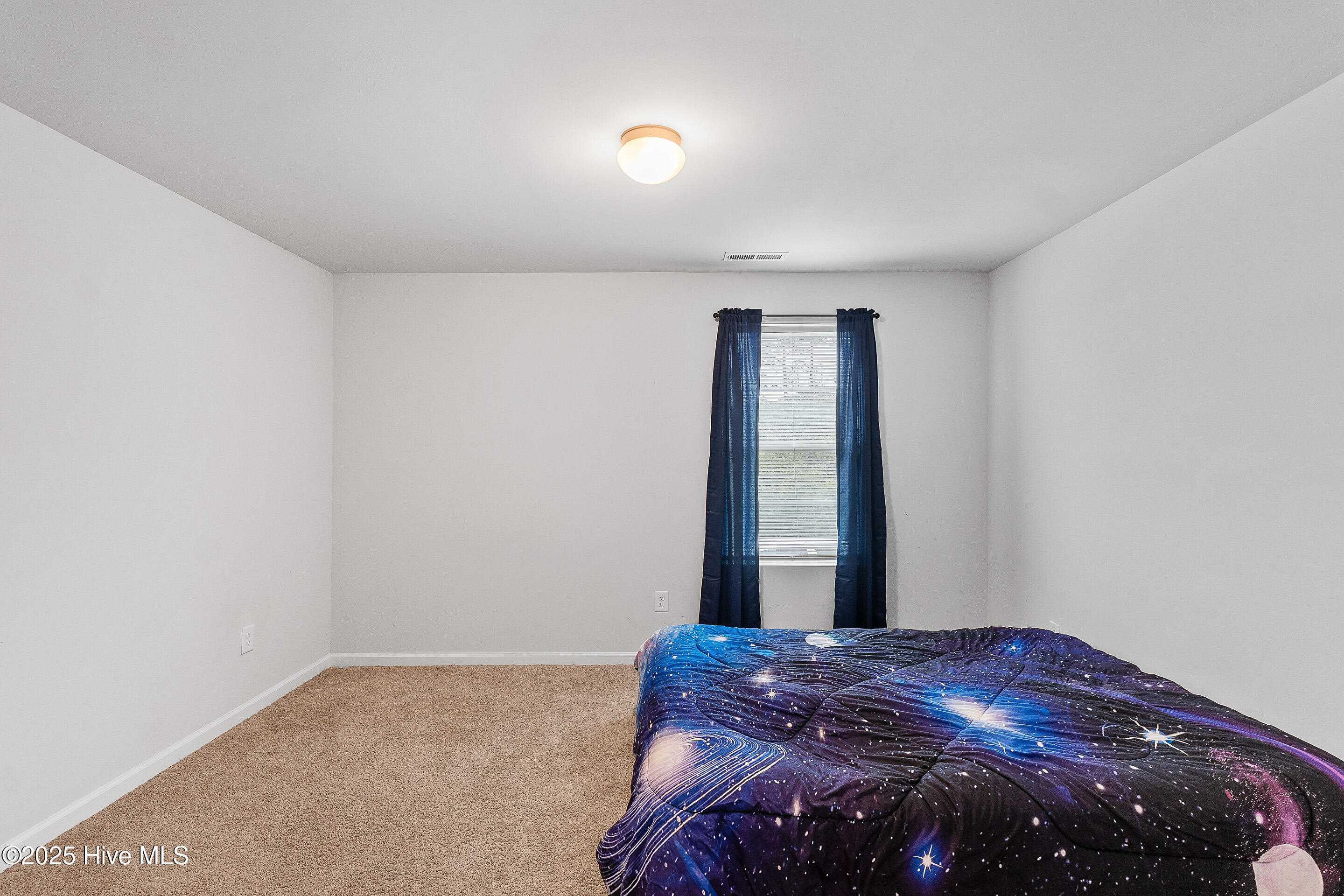 100510114 | Photo 38