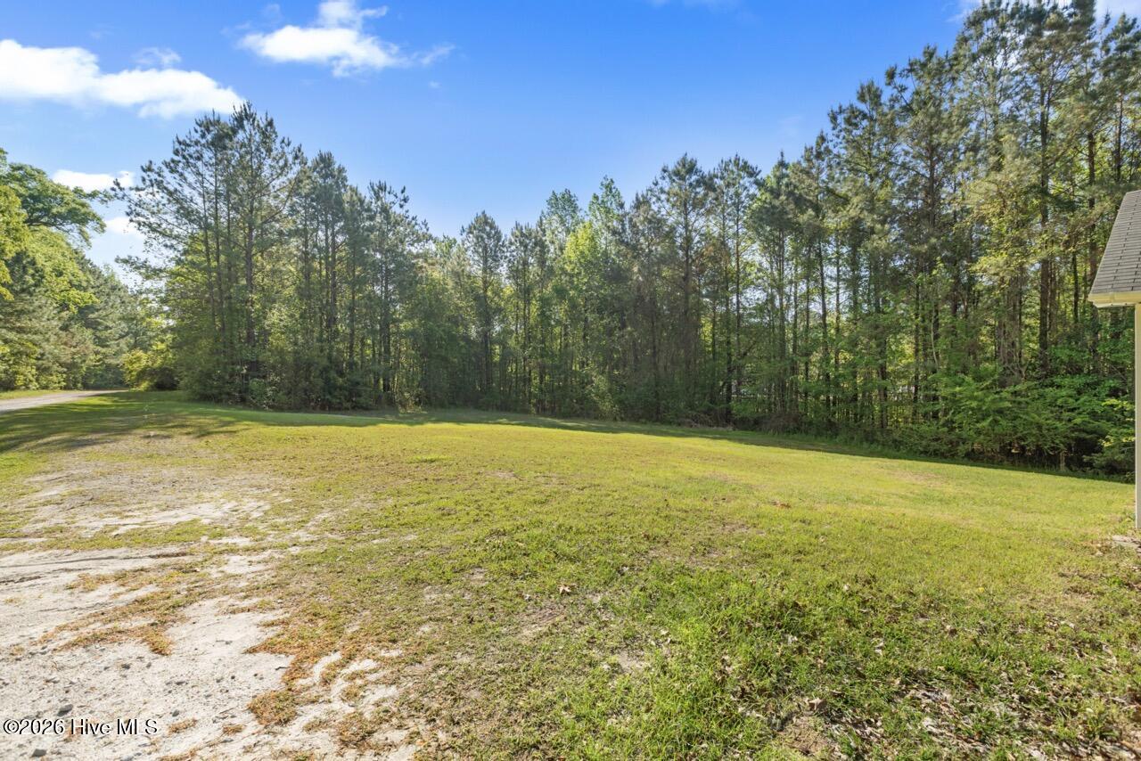 100567883 | Photo 25