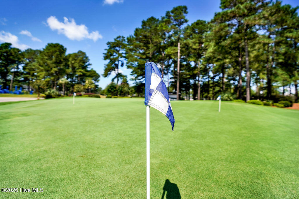 100567236 | Photo 21