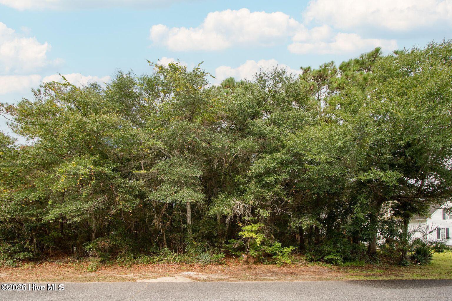 Homes for sale in Oak Island, NC | 117 Nw 4th St, Oak Island, NC 28465 | MLS# 100553139