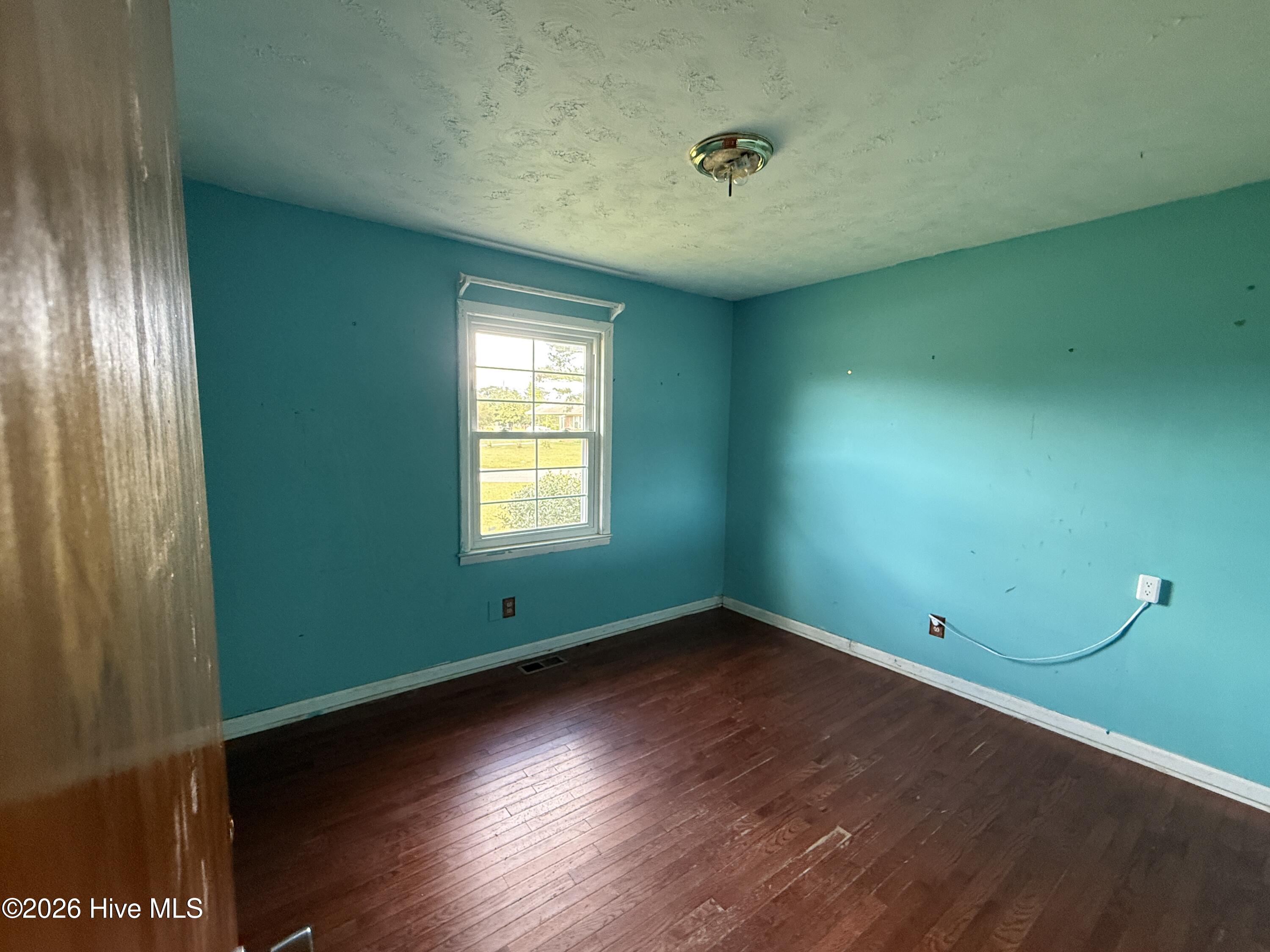 100567135 | Photo 12