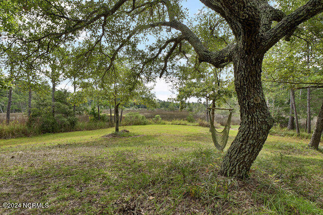 100546361 | Photo 34