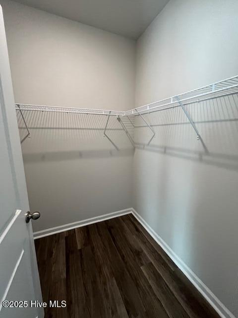 100529934 | Photo 24