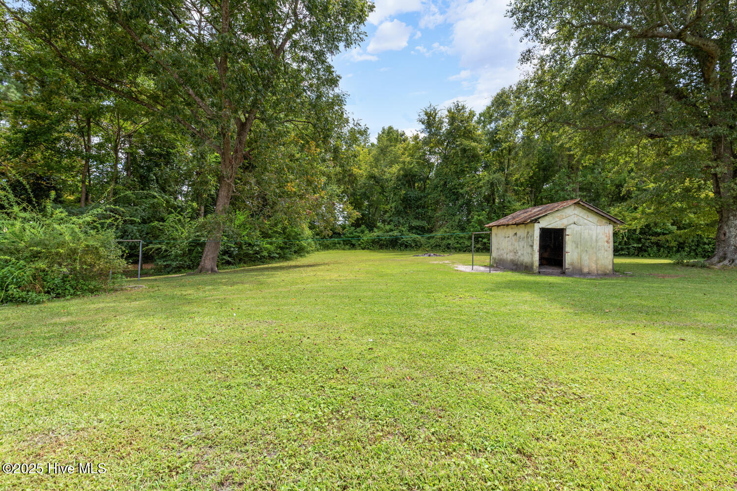 100520371 | Photo 31