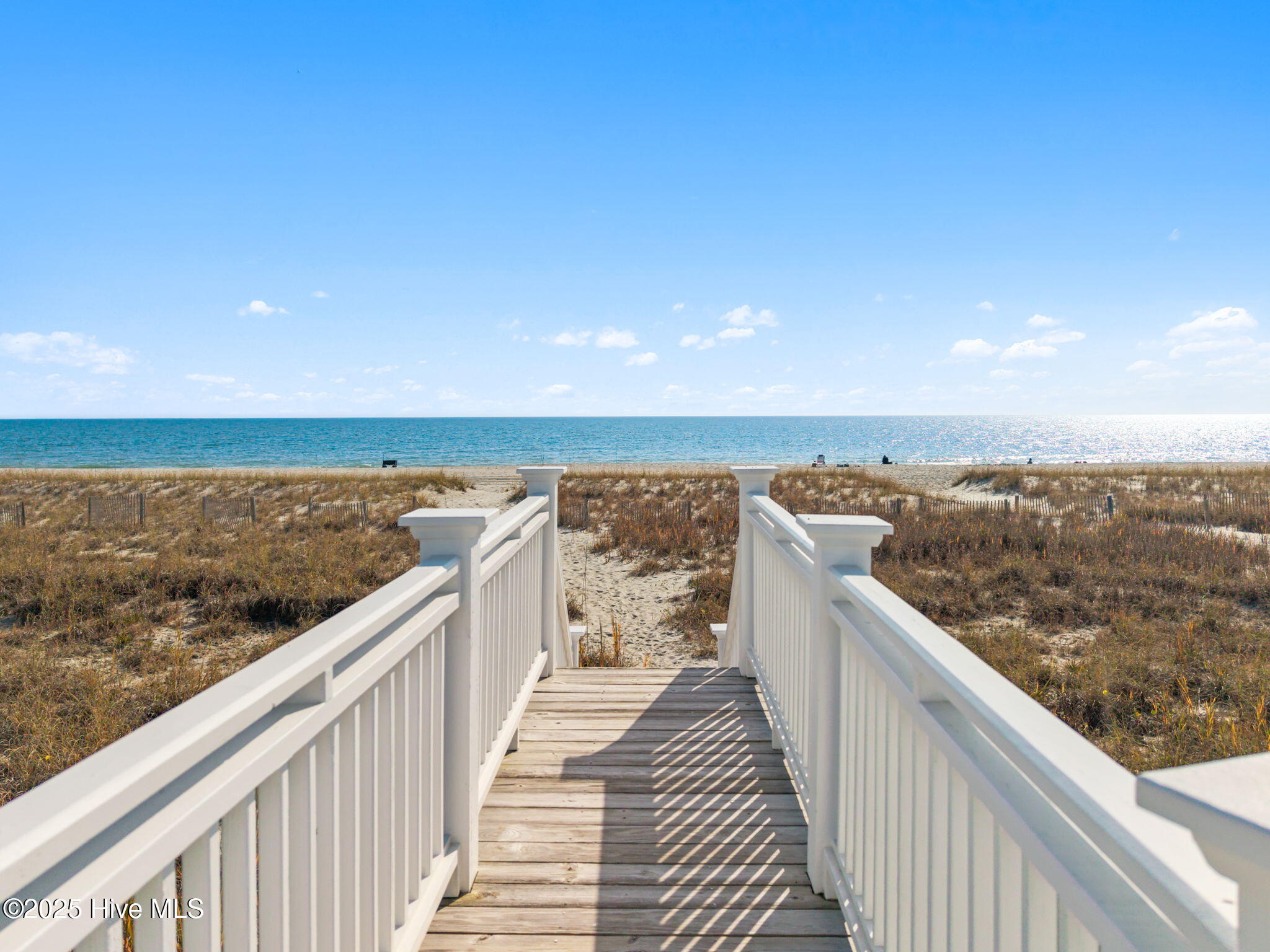 100542576 | Photo 79